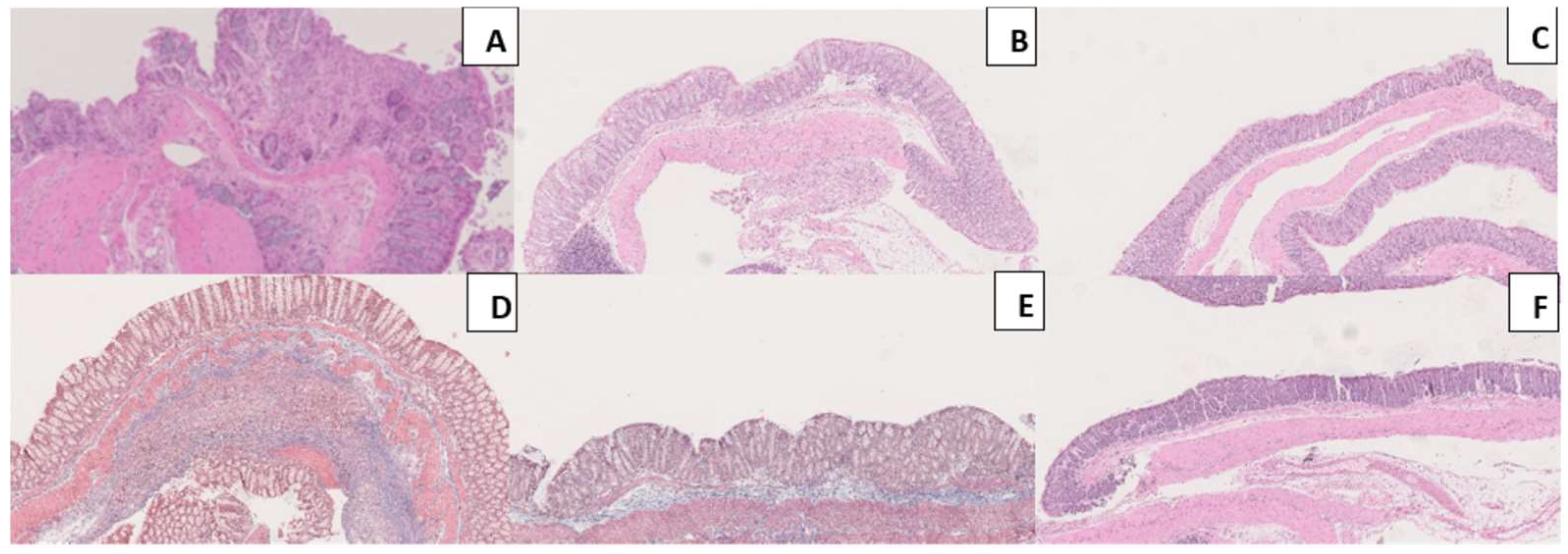 Biomedicines 11 02497 g009
