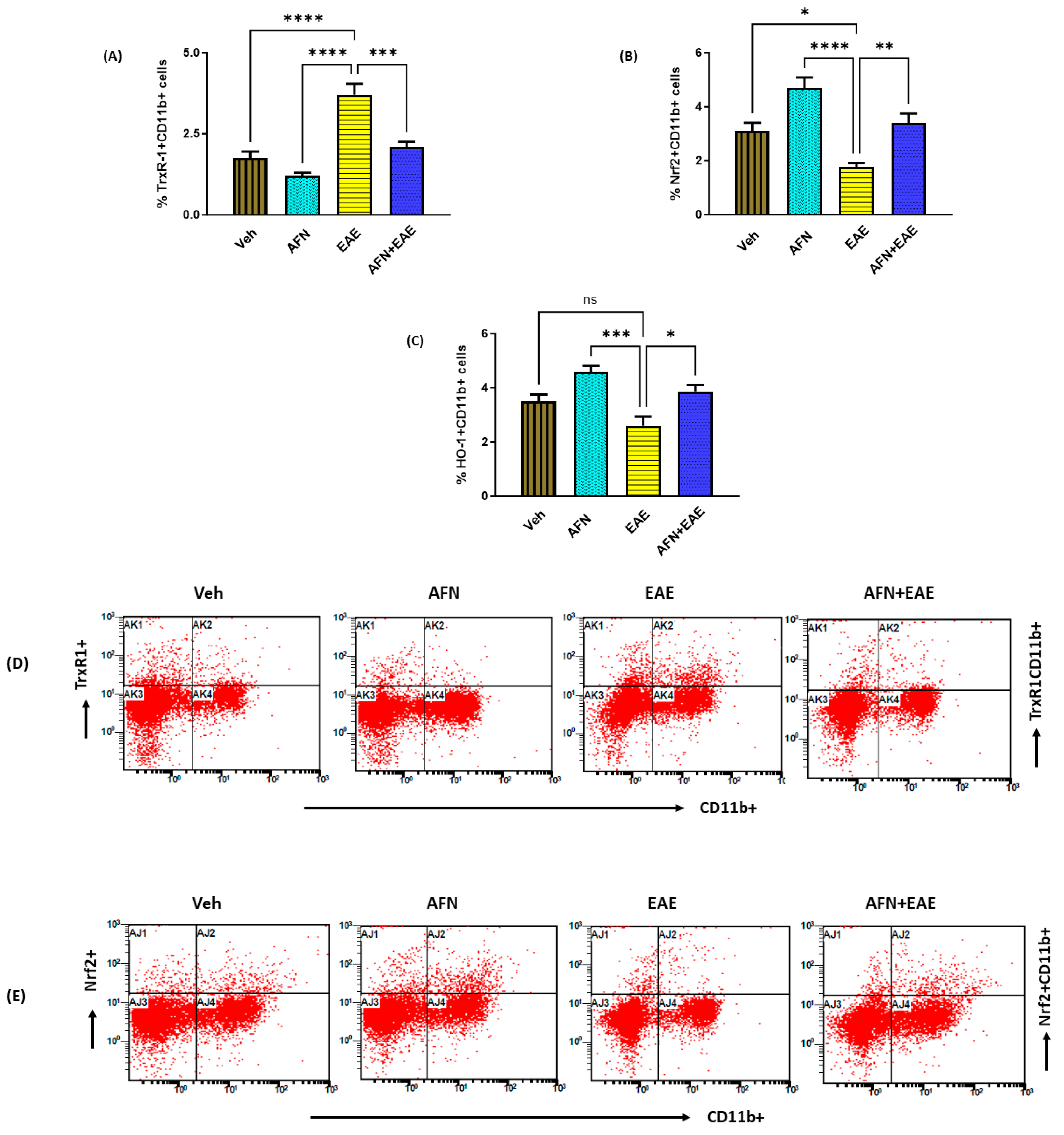 Biomedicines 11 02502 g004