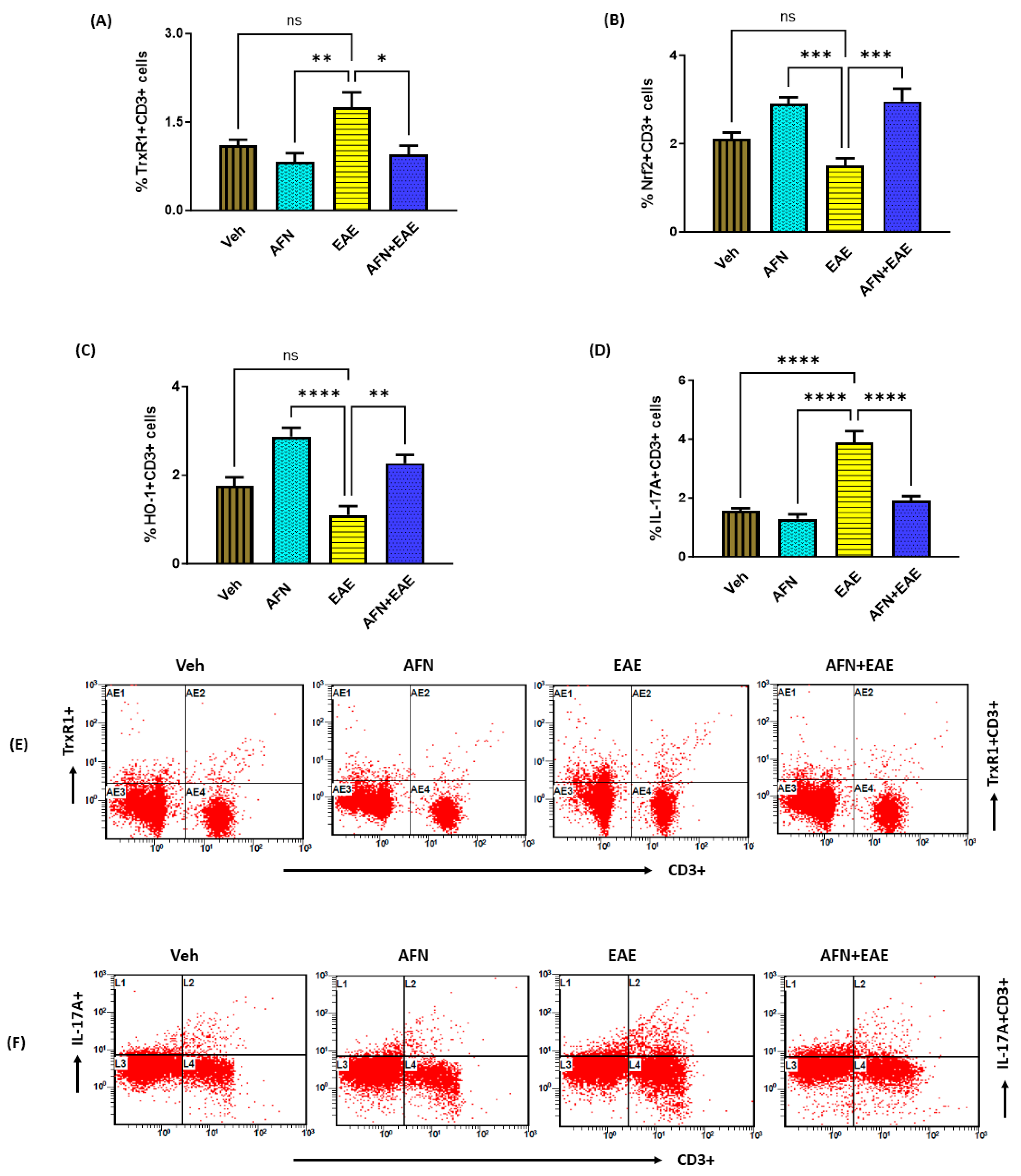 Biomedicines 11 02502 g006