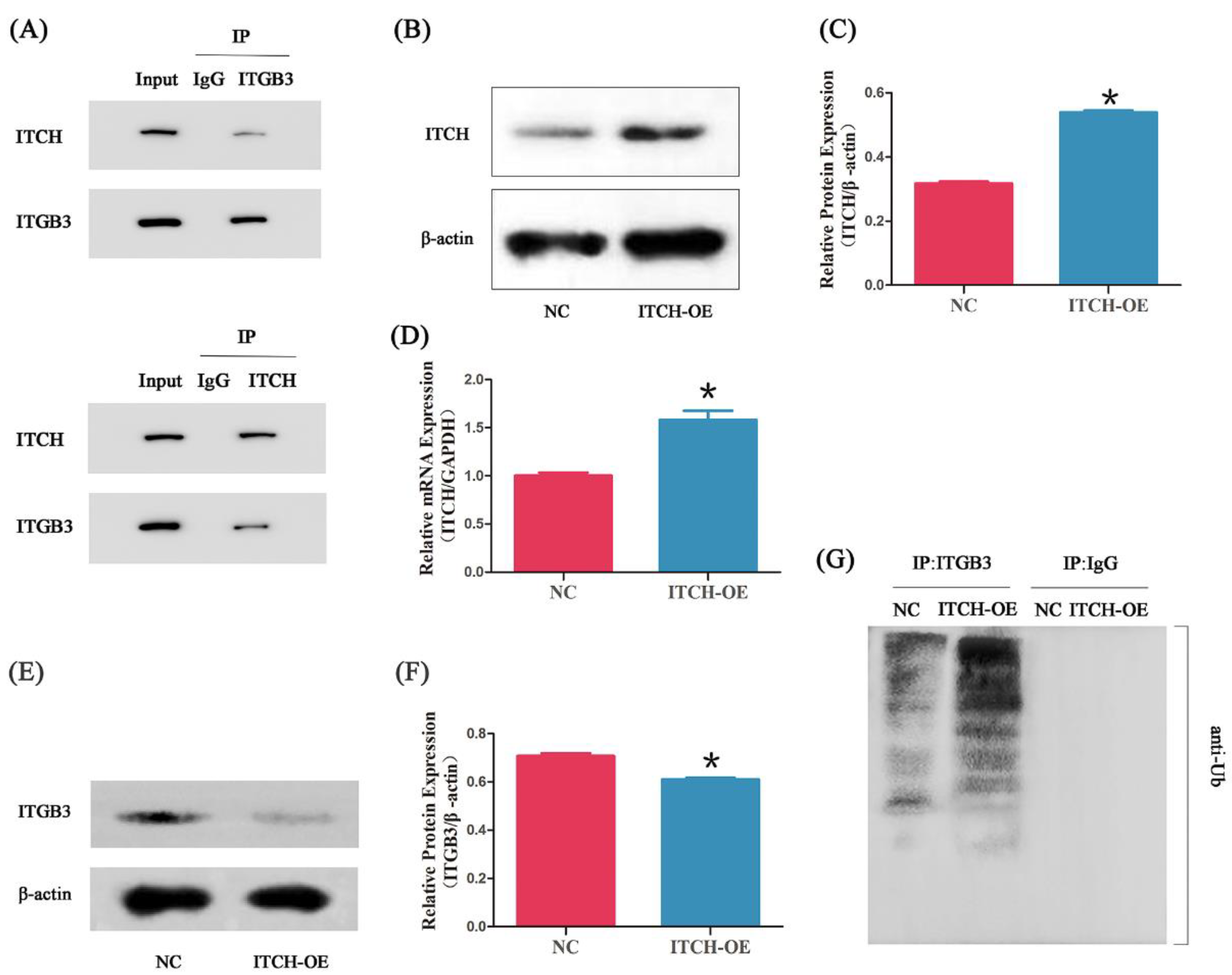 Biomedicines 11 02506 g003 Biomedicines 11 02506 g003