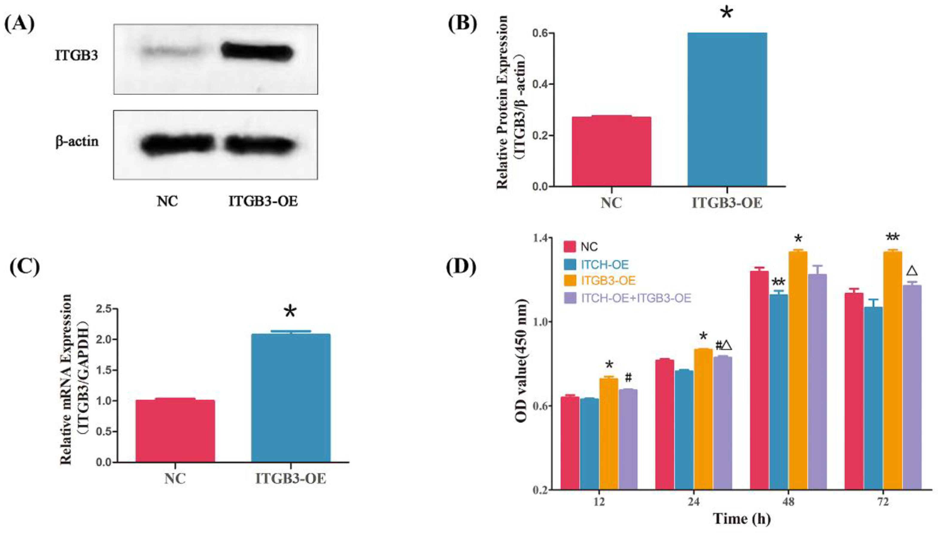 Biomedicines 11 02506 g004 Biomedicines 11 02506 g004
