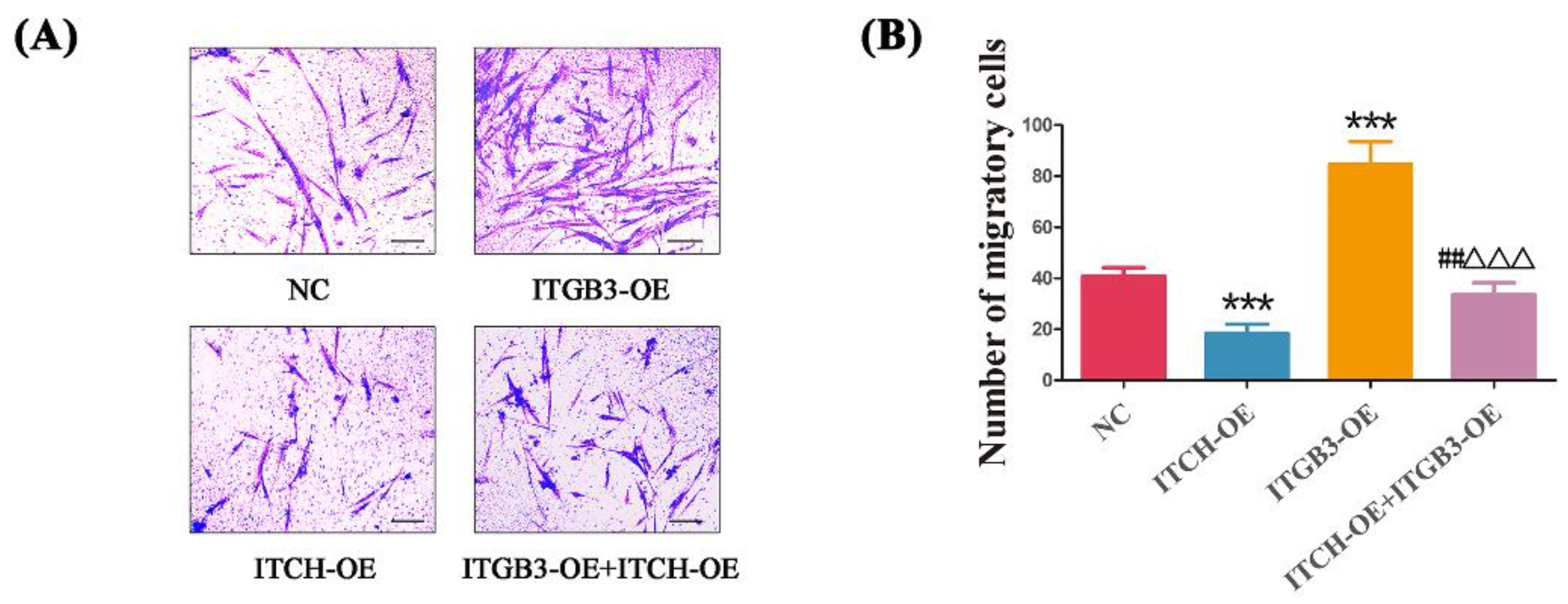 Biomedicines 11 02506 g005 Biomedicines 11 02506 g005