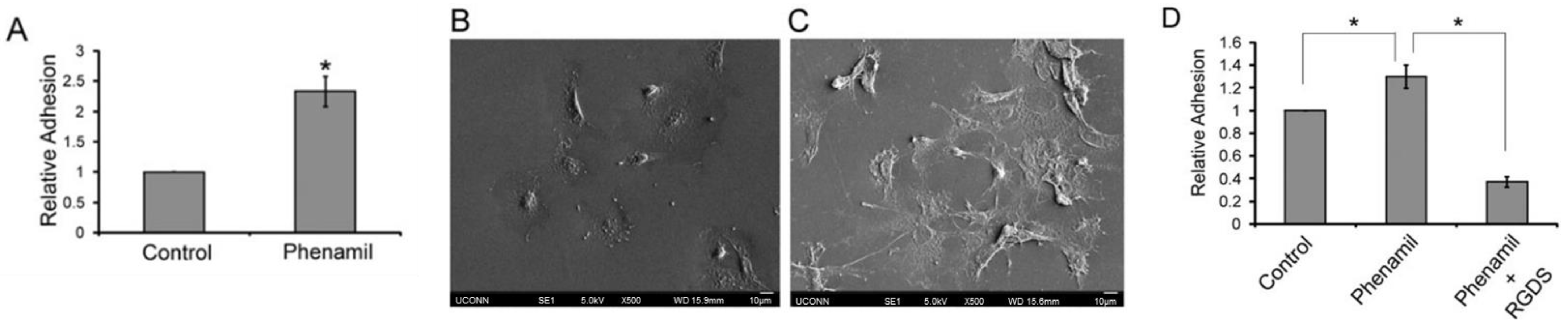 Biomedicines 11 02507 g006