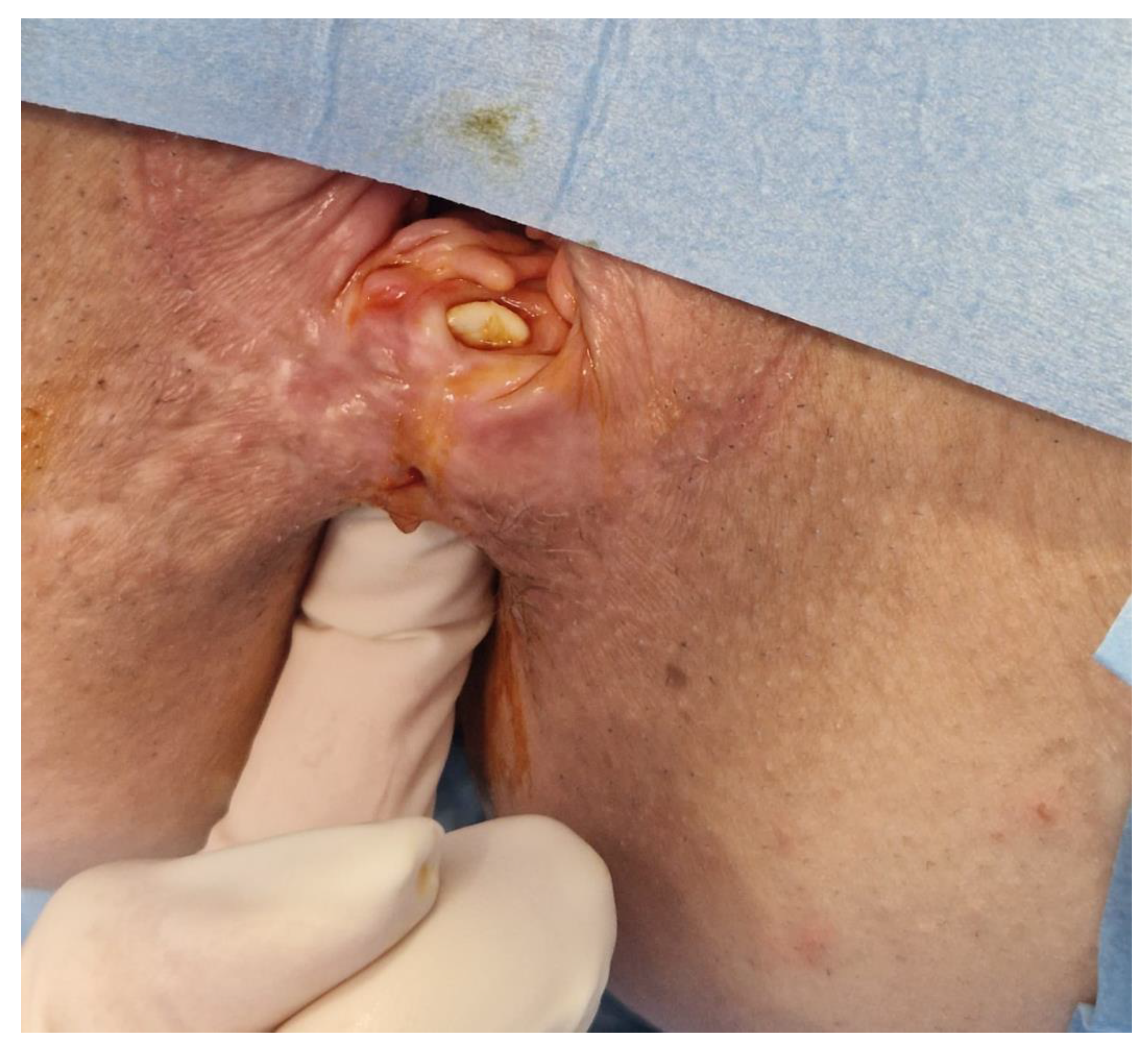 Biomedicines 11 02509 g002