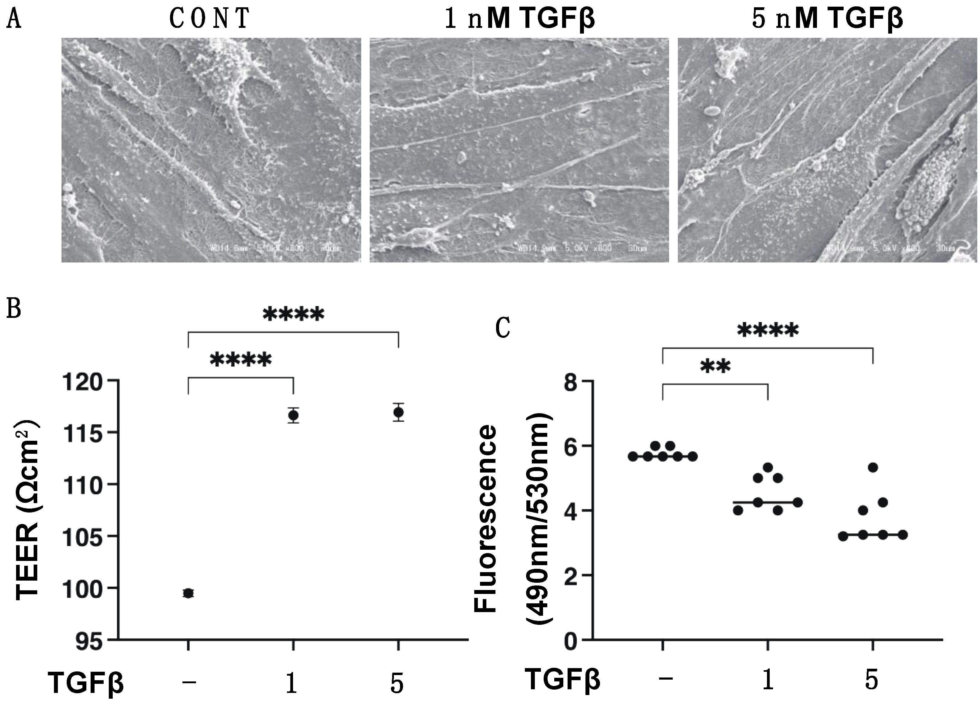 Biomedicines 11 02513 g001