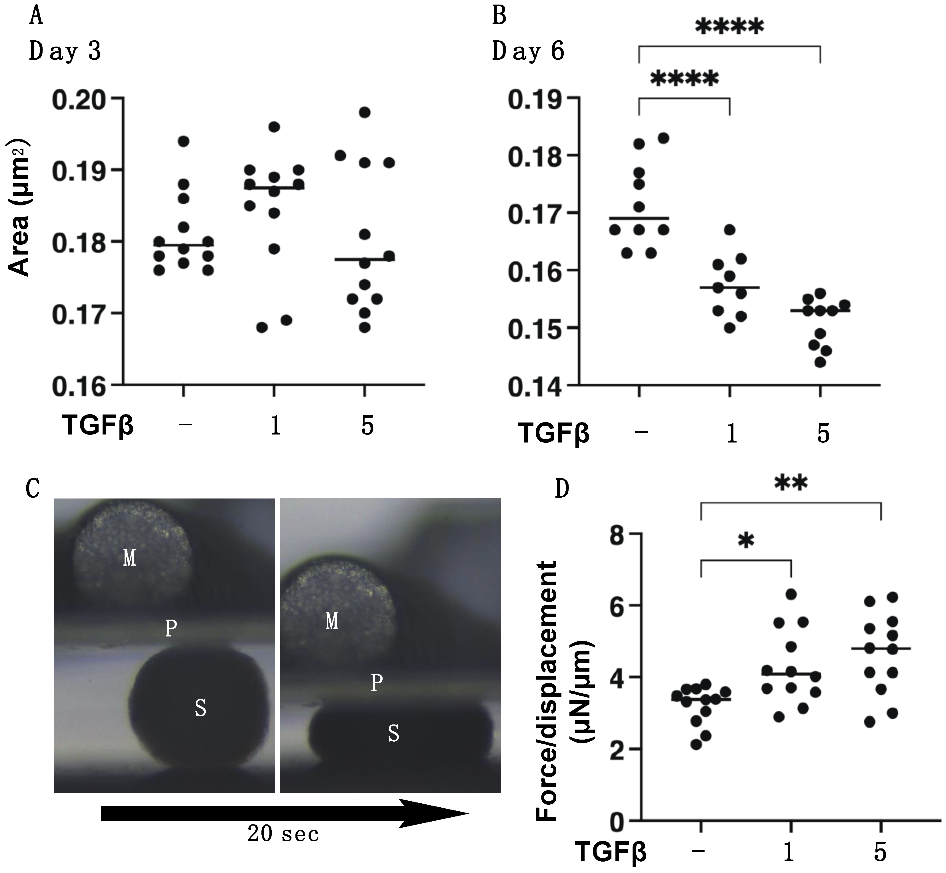 Biomedicines 11 02513 g006