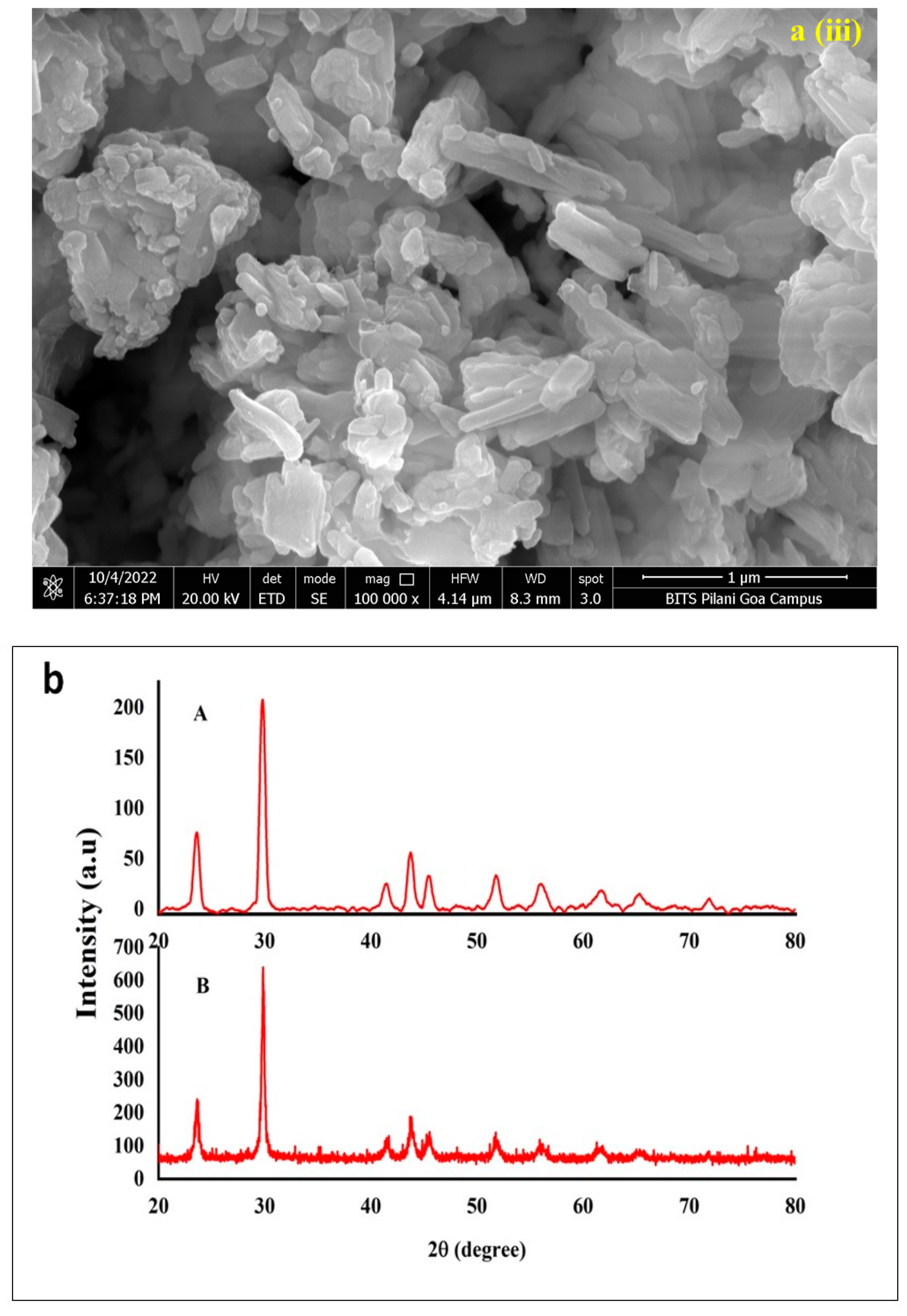 Biomedicines 11 02520 g003b