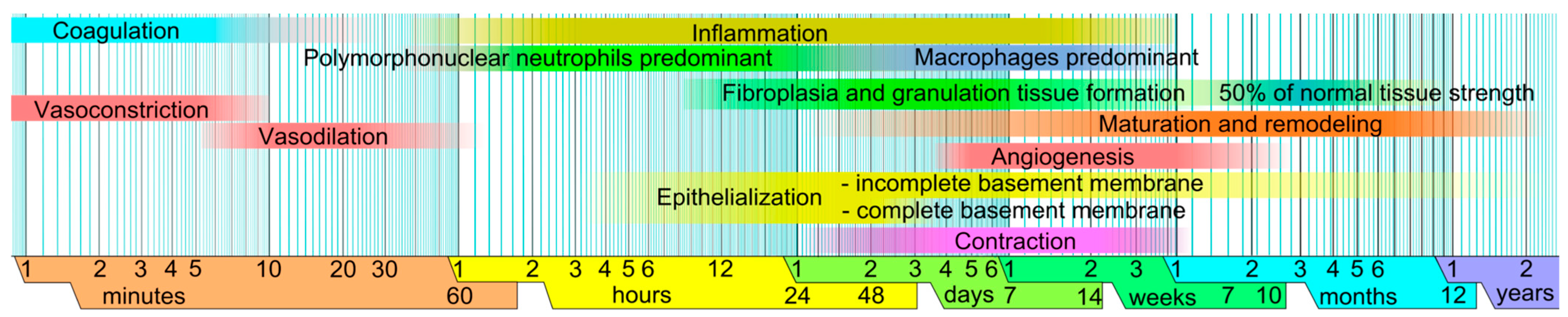 Biomedicines 11 02526 g001