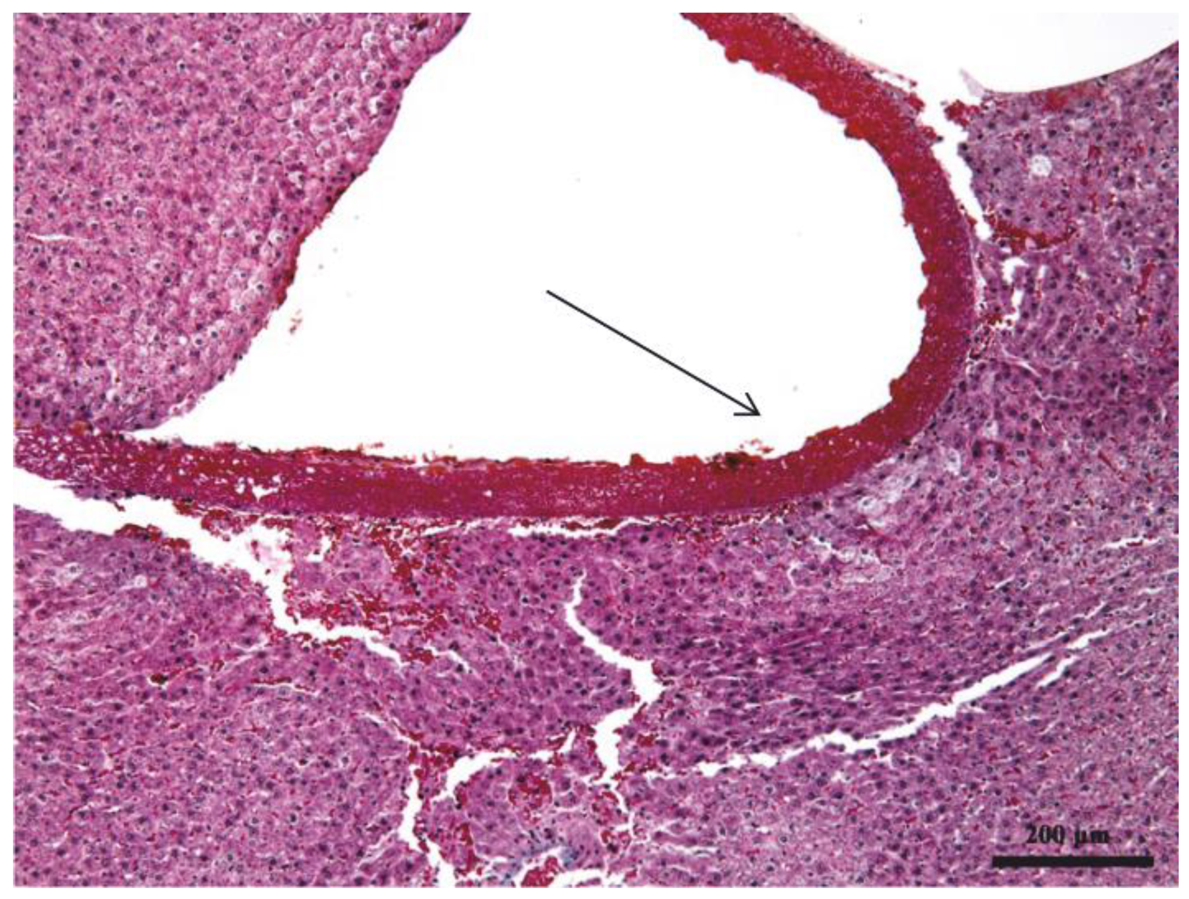 Biomedicines 11 02529 g001
