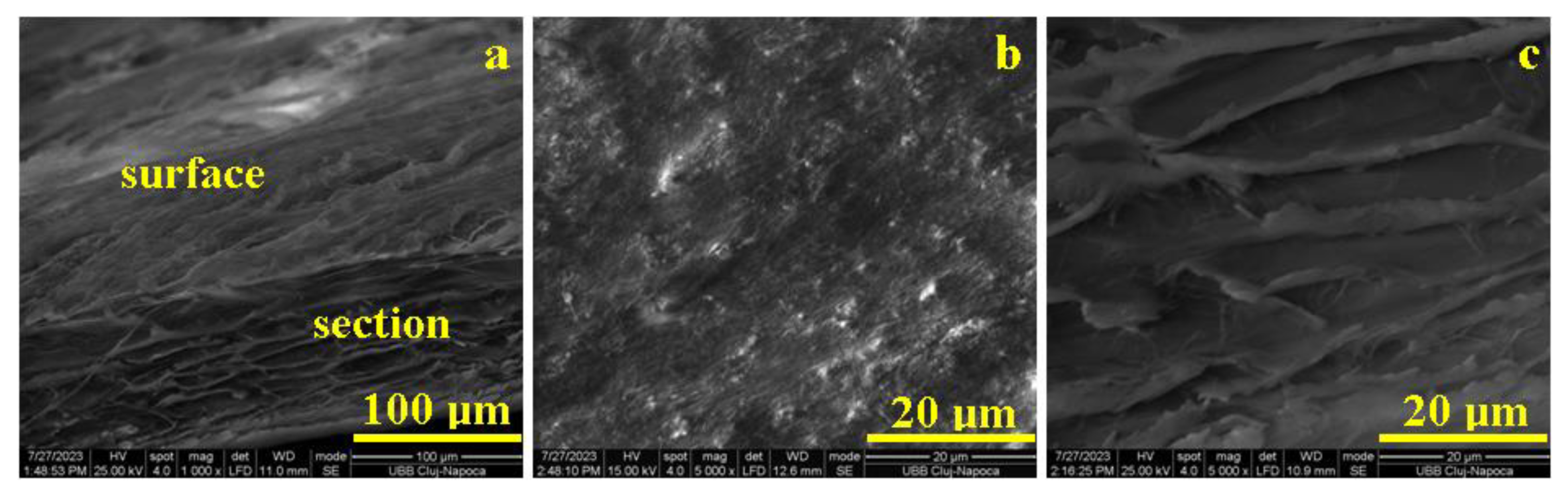Biomedicines 11 02529 g004
