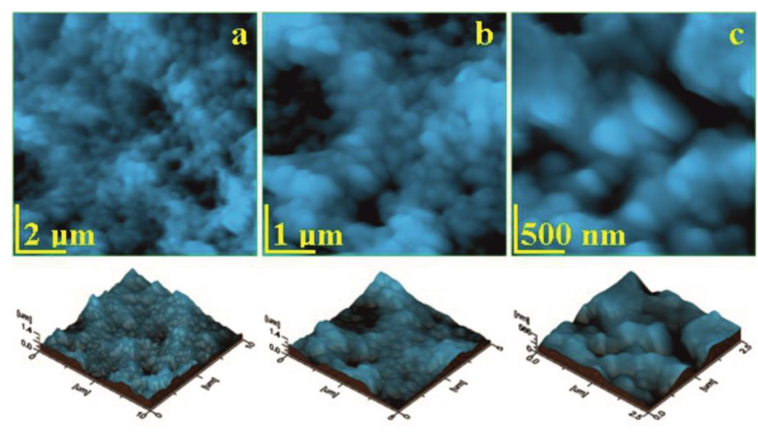 Biomedicines 11 02529 g005