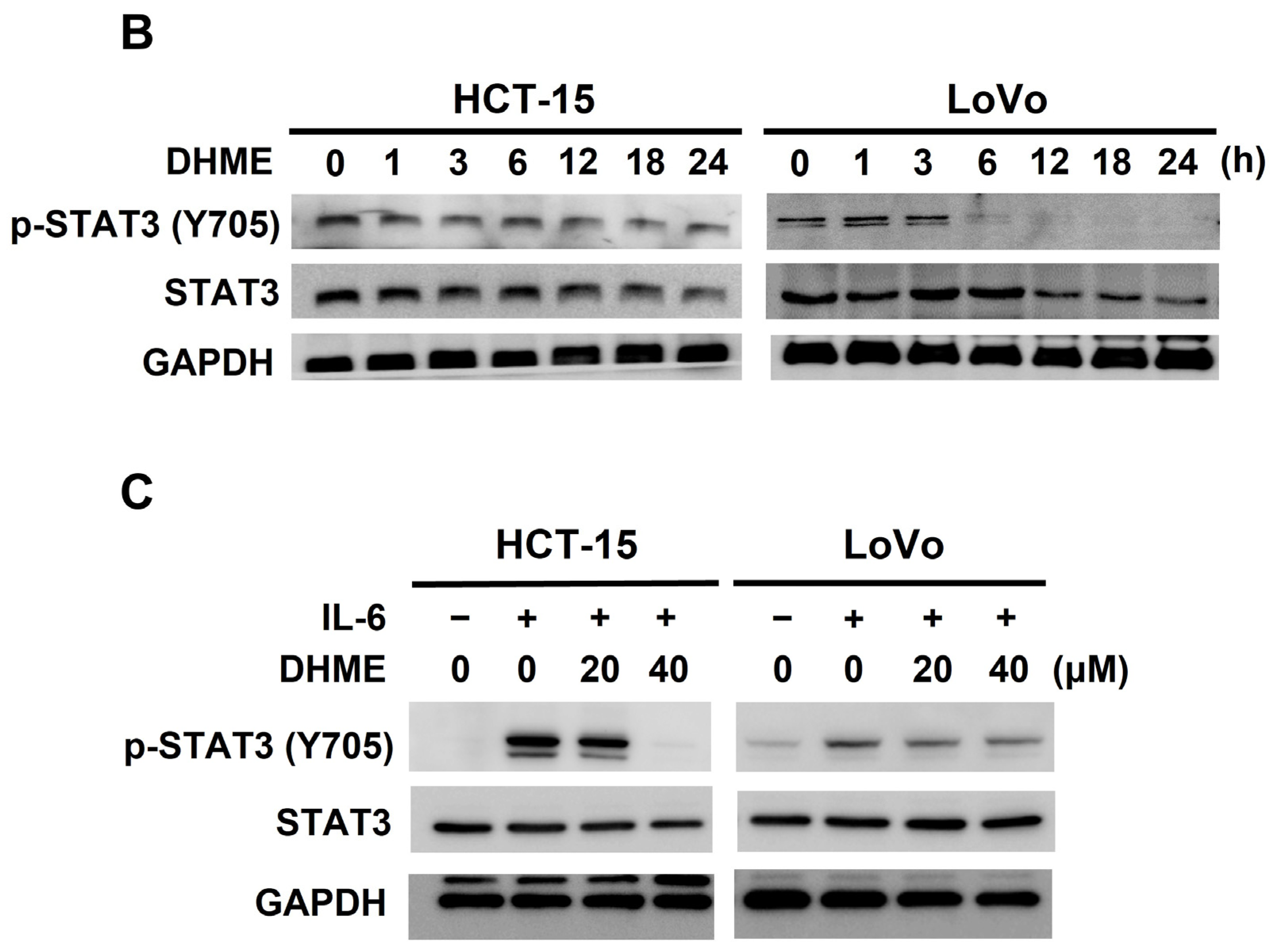 Biomedicines 11 02530 g002b