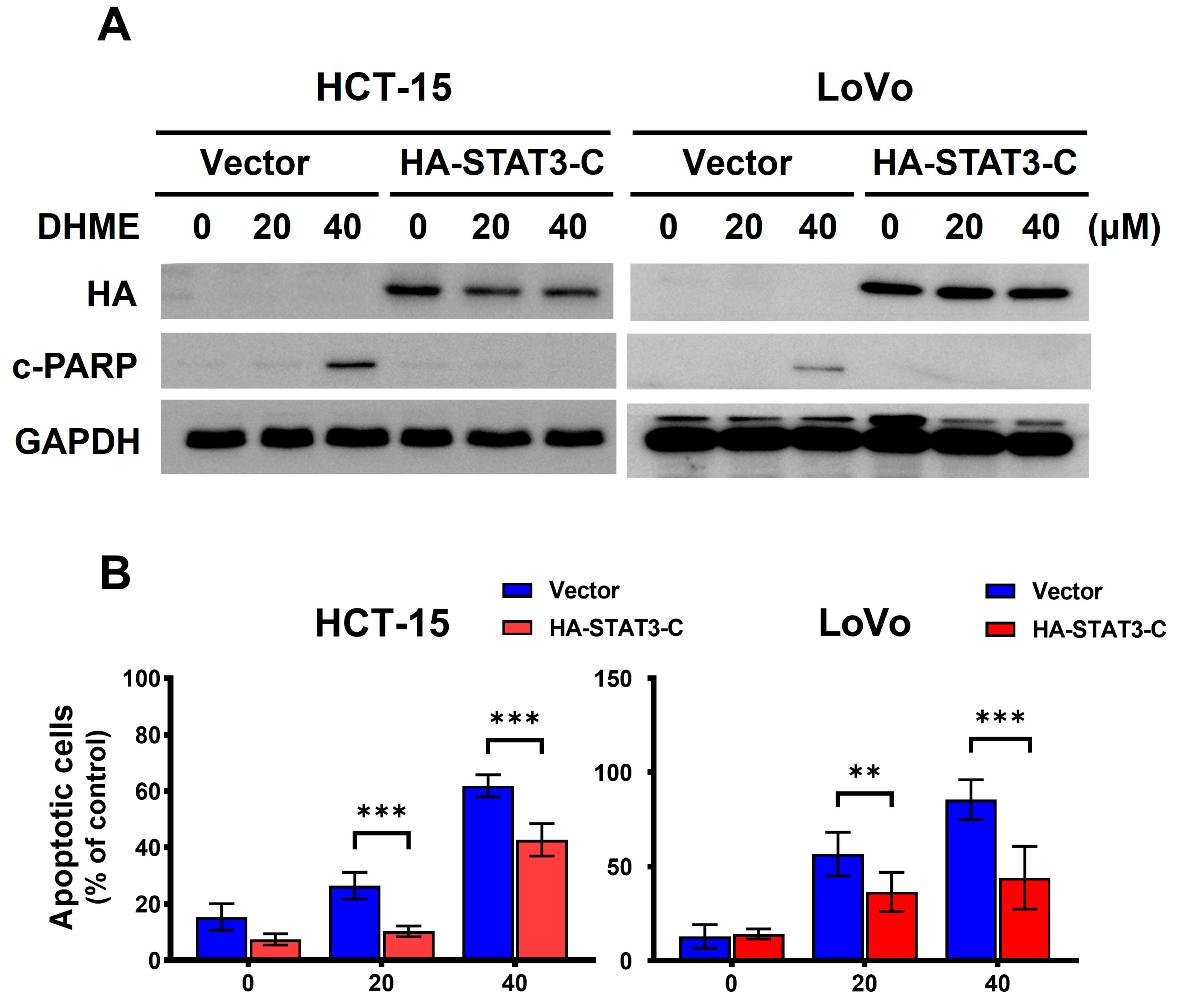 Biomedicines 11 02530 g003a