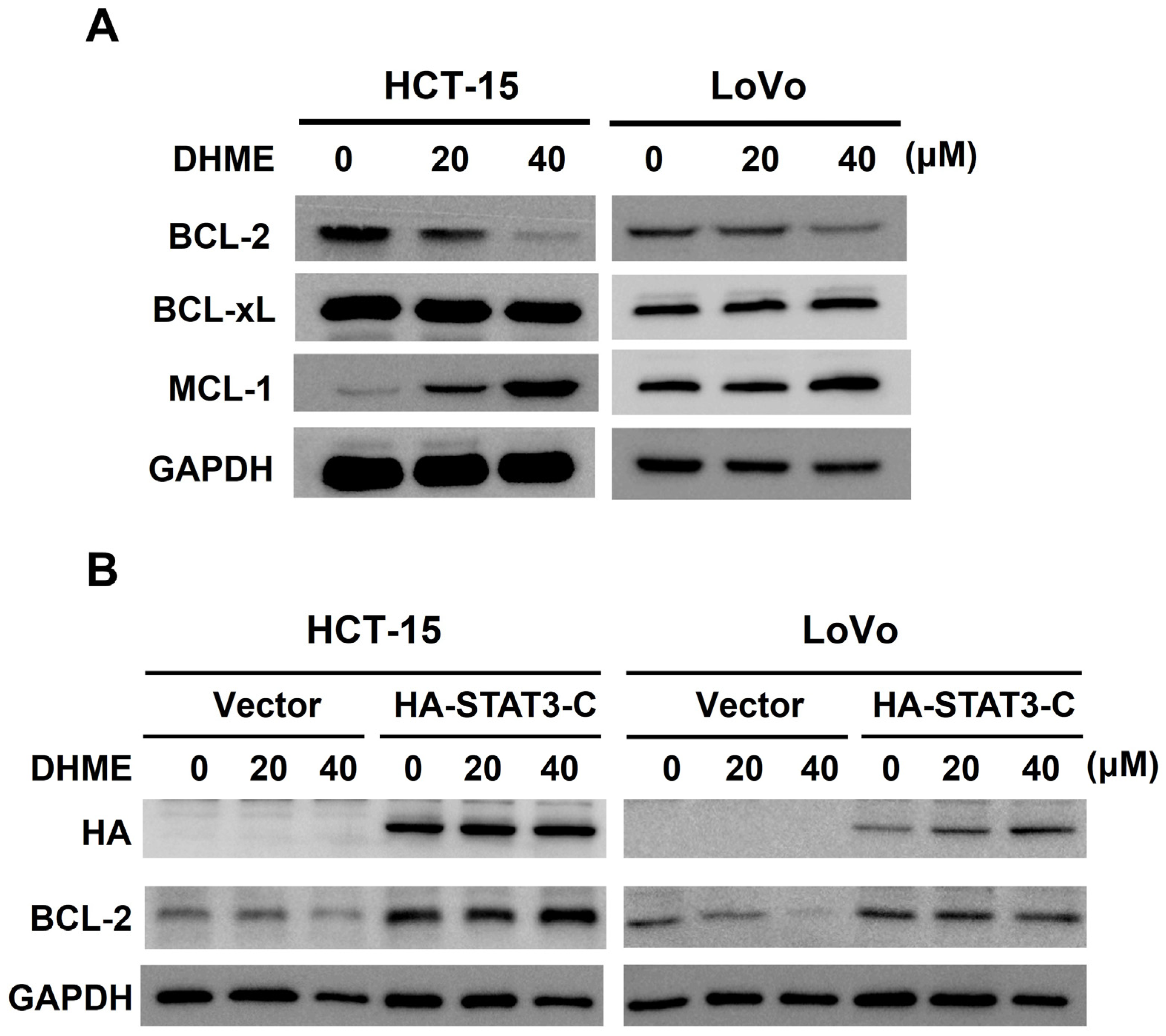 Biomedicines 11 02530 g004a