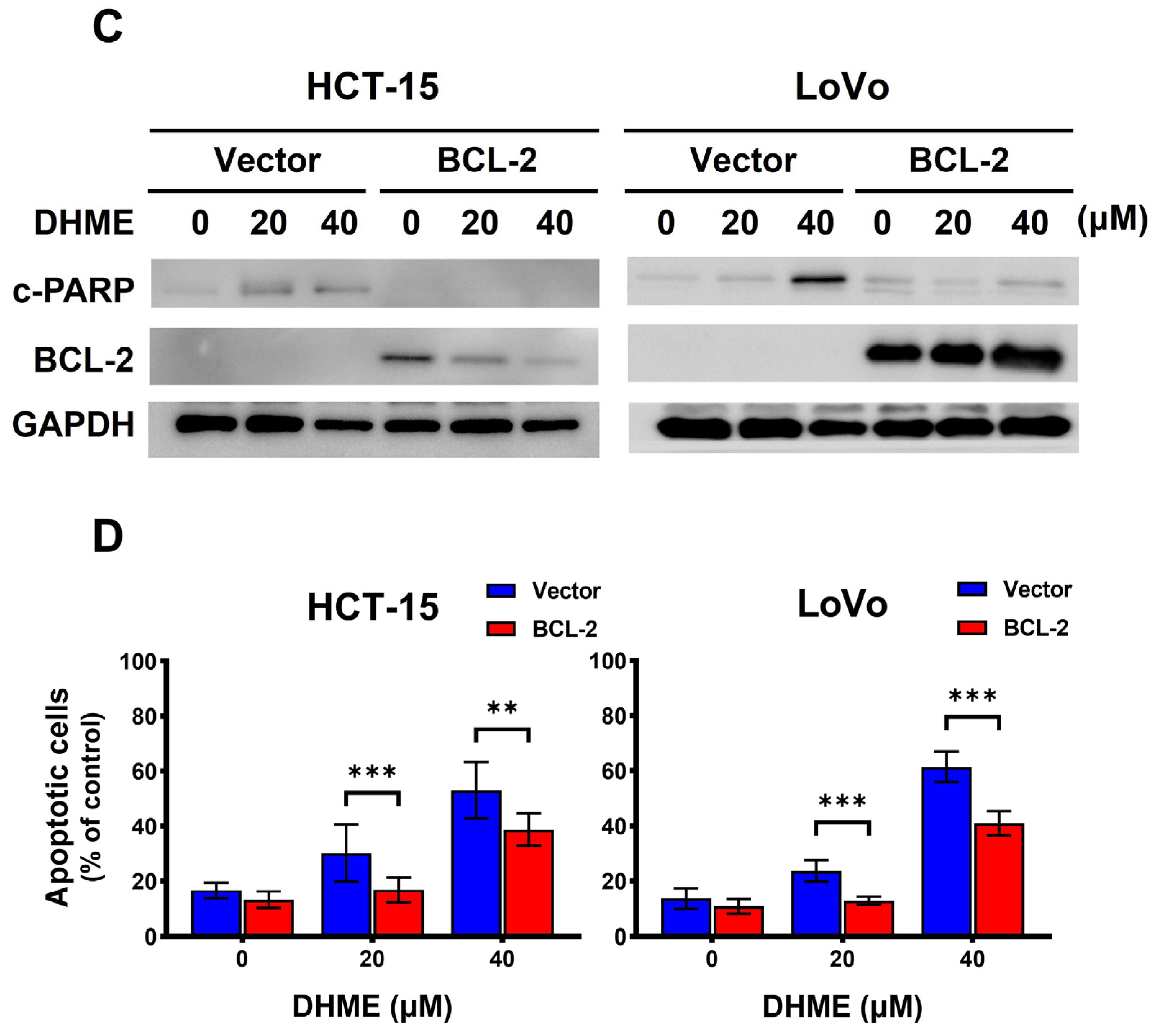 Biomedicines 11 02530 g004b