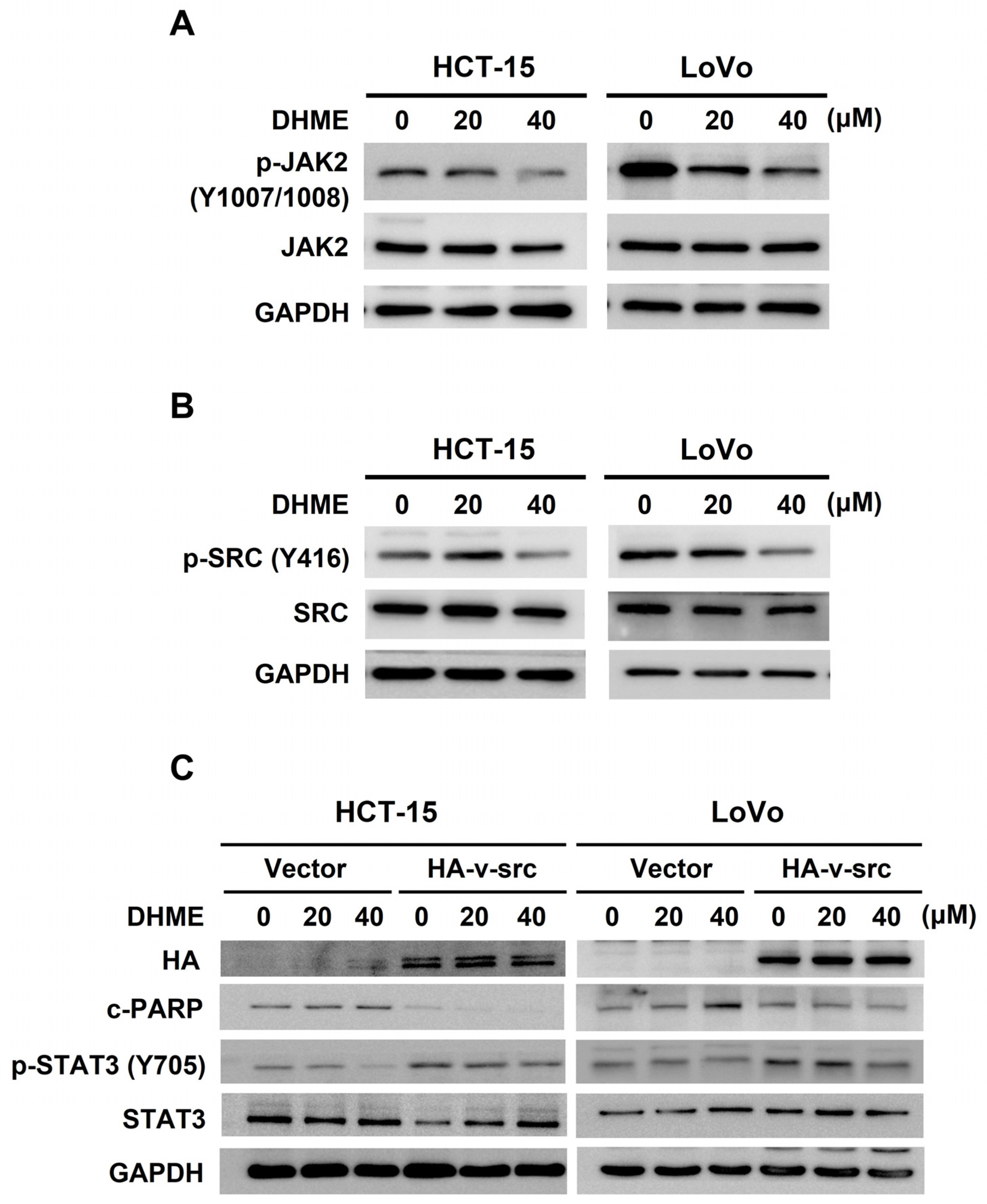 Biomedicines 11 02530 g005