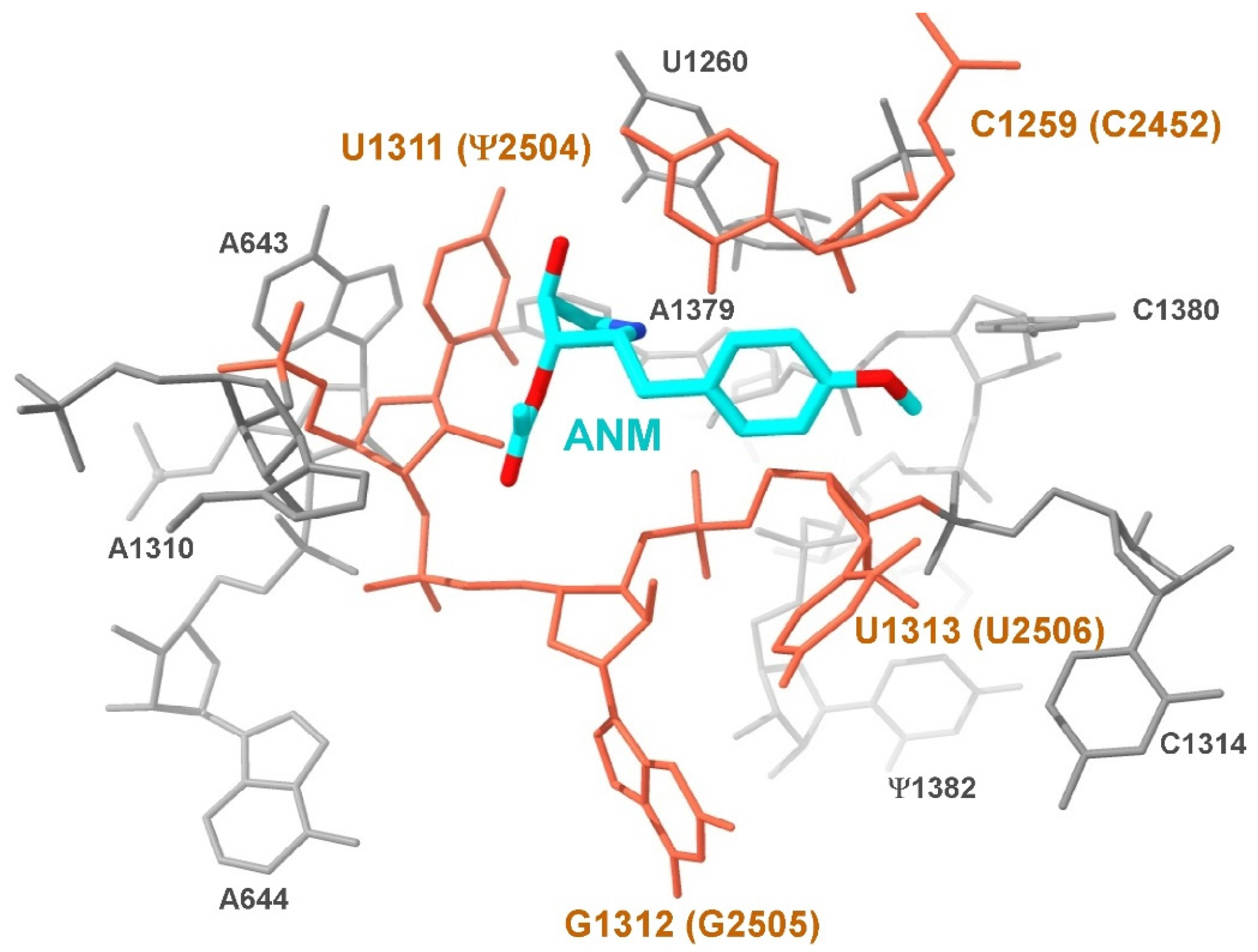 Biomedicines 11 02541 g003
