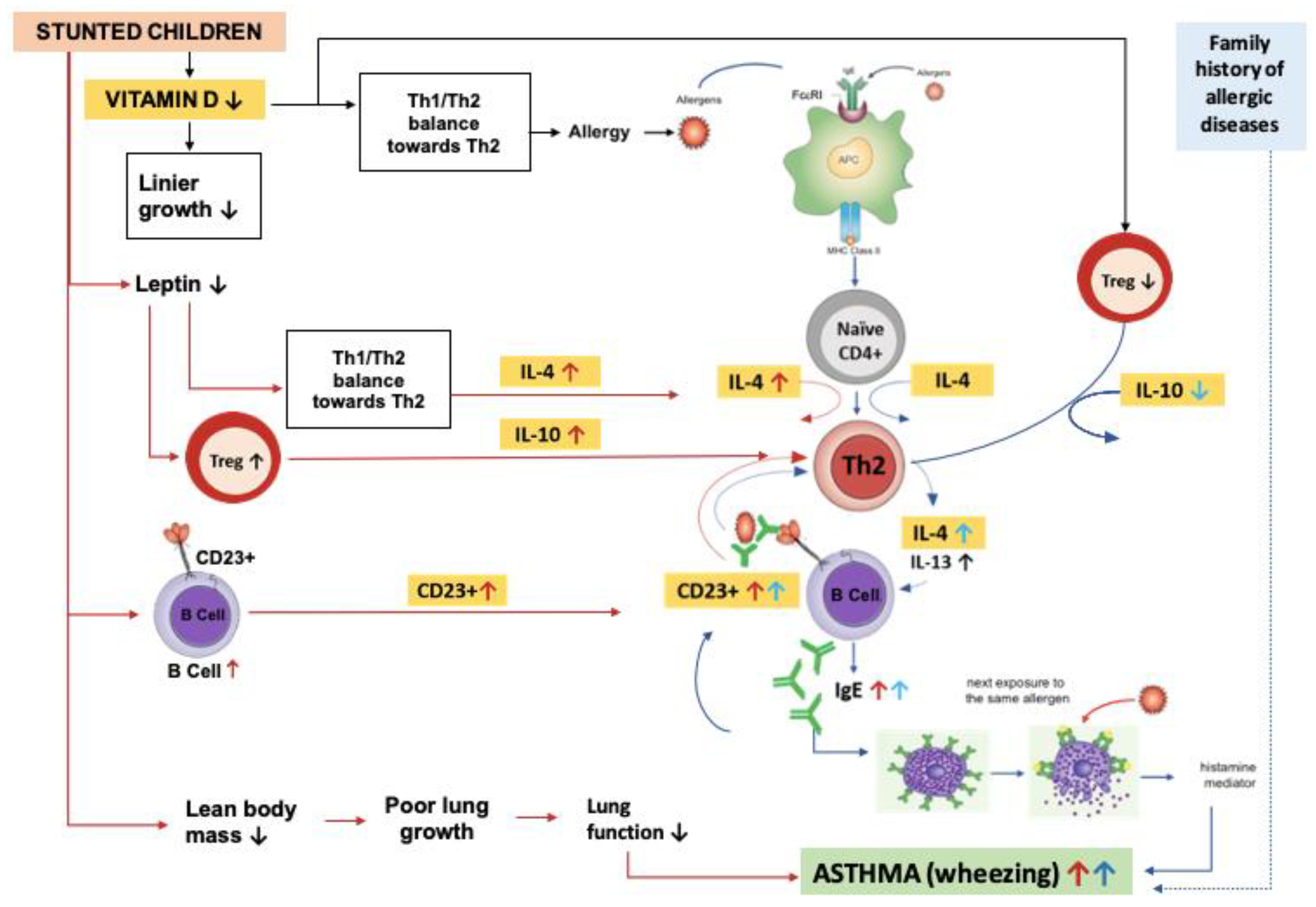 Biomedicines 11 02542 g001