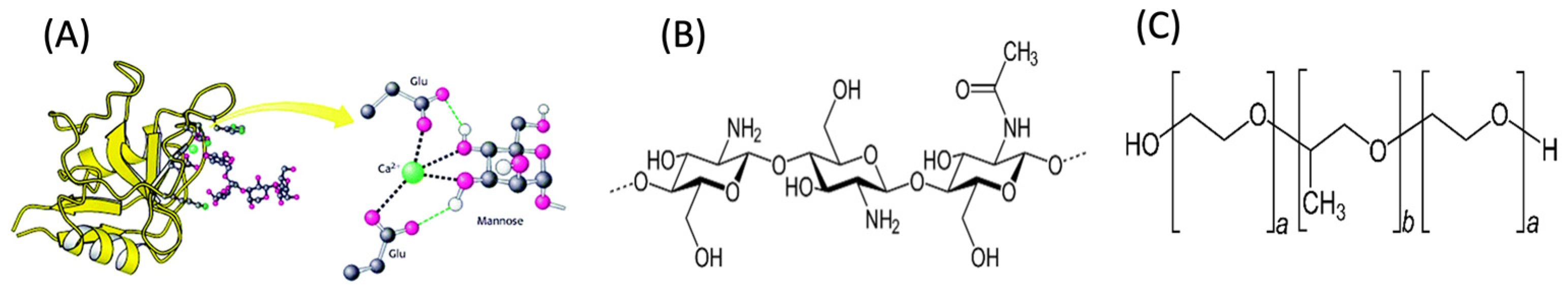 Biomedicines 11 02545 g001