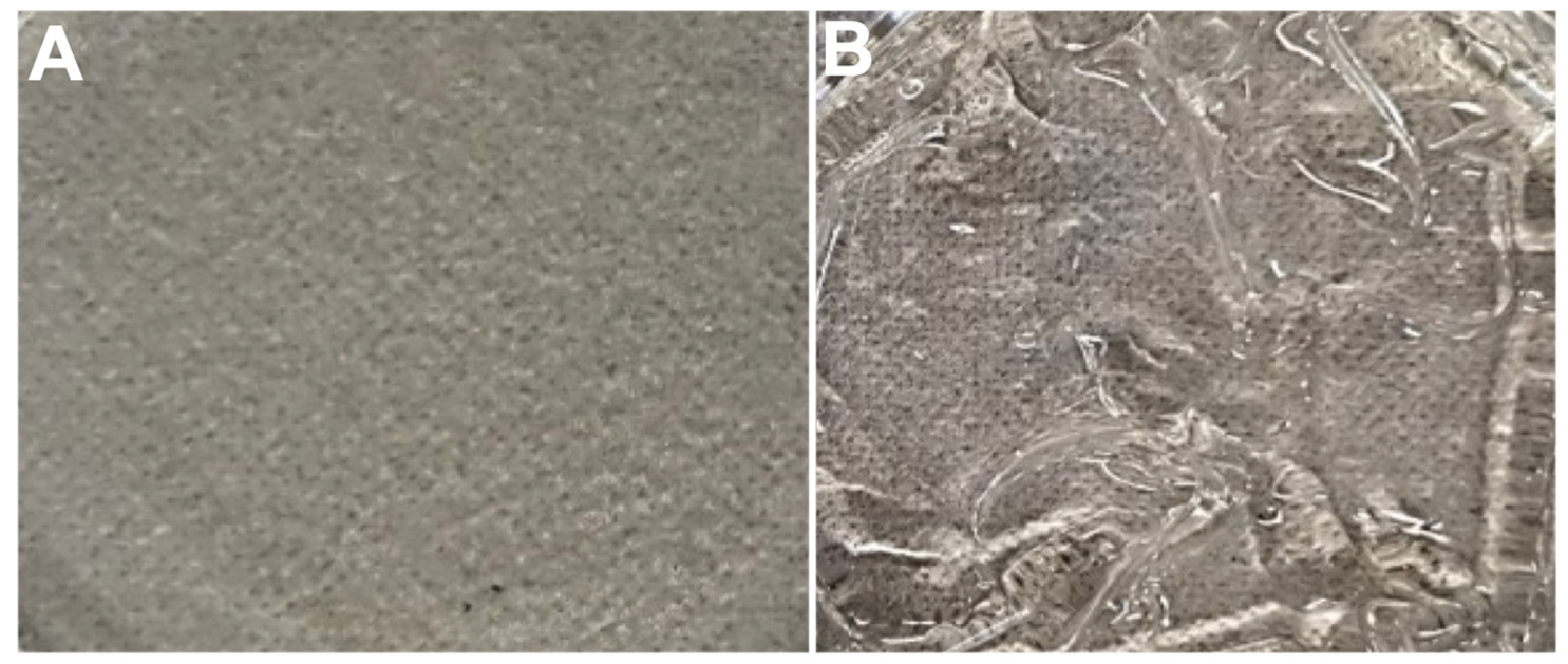 Biomedicines 11 02545 g002
