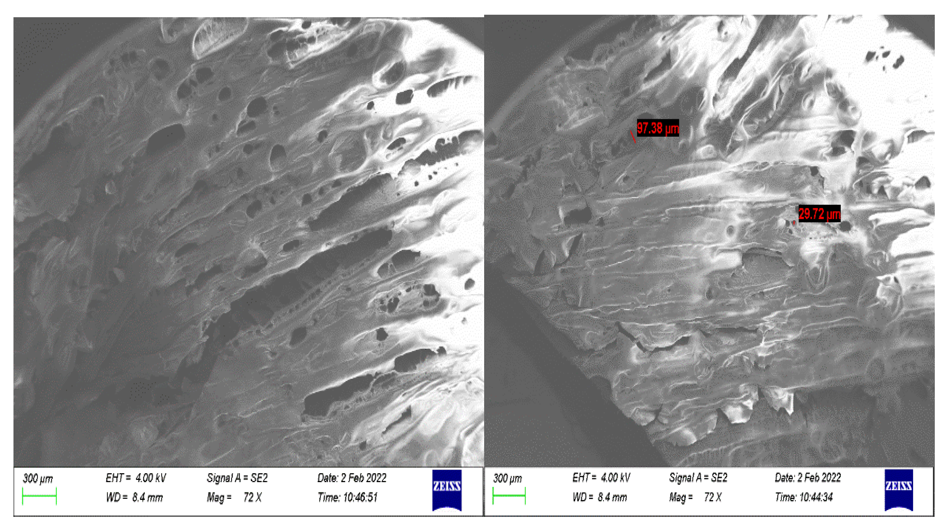 Biomedicines 11 02545 g012