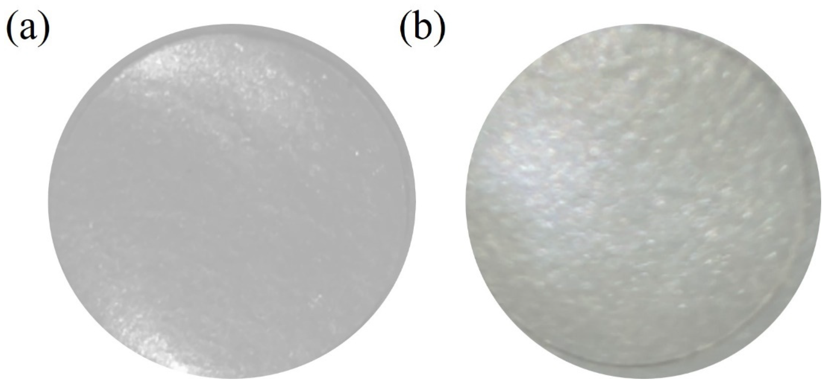Biomedicines 11 02549 g001