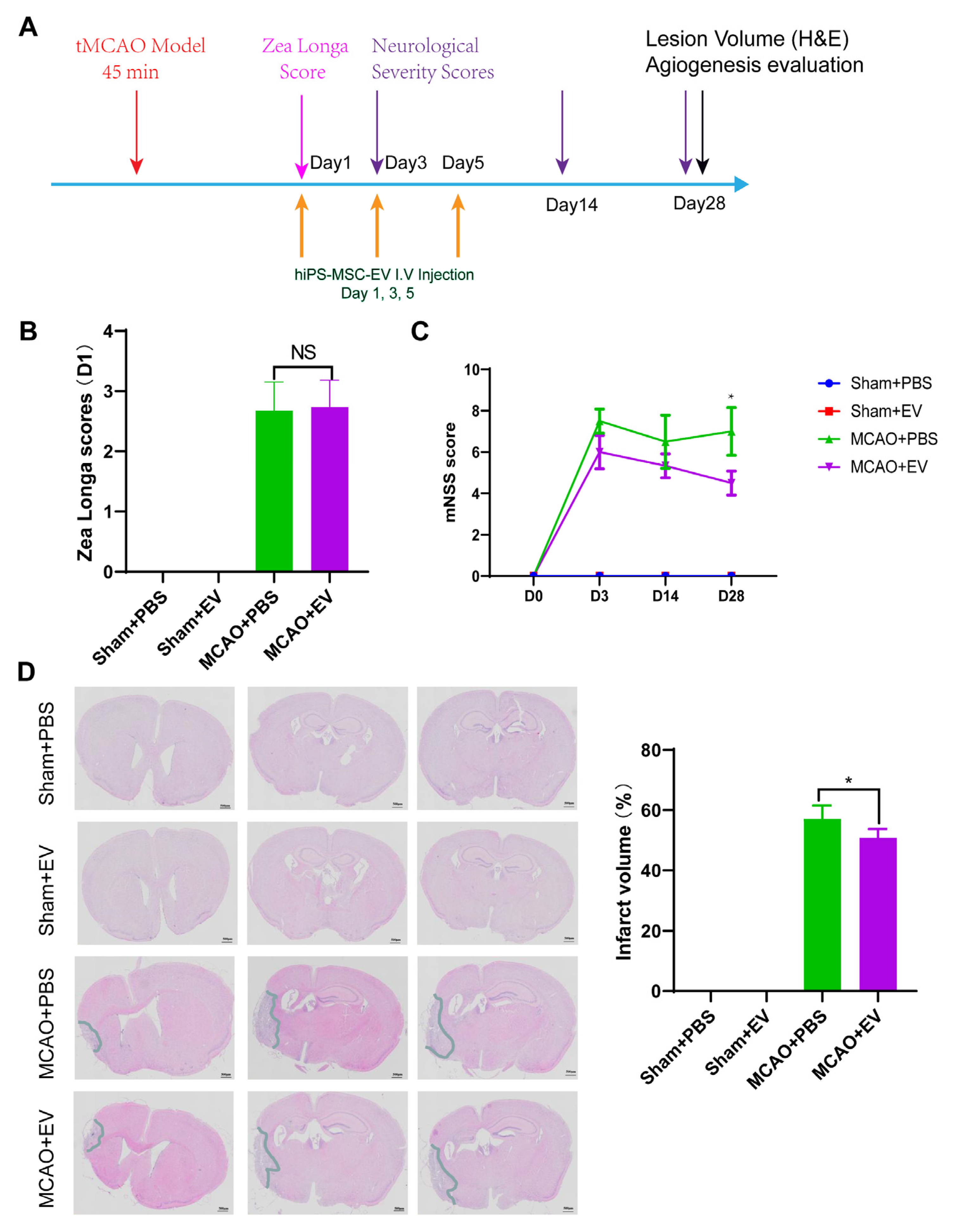 Biomedicines 11 02550 g005