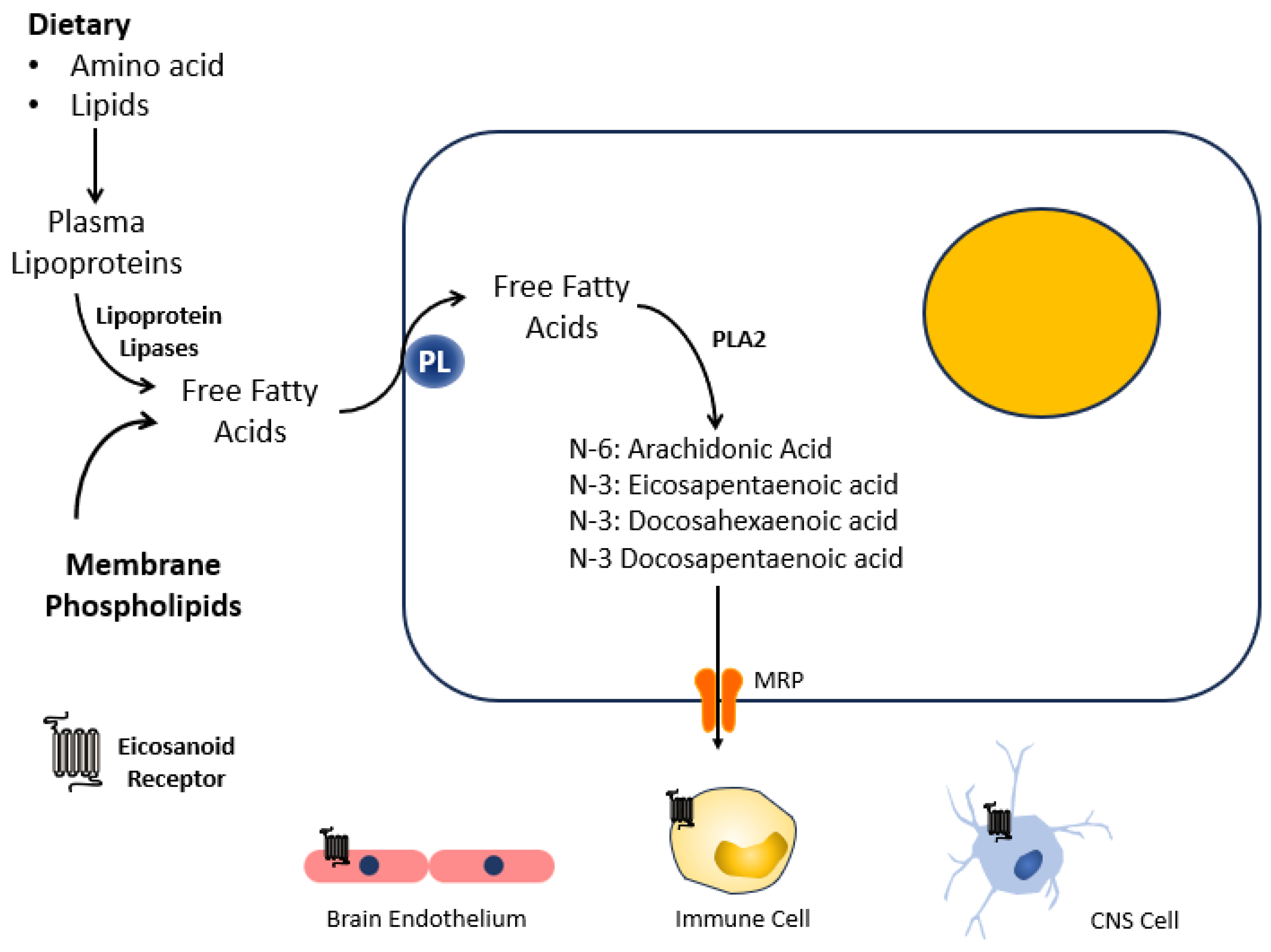 Biomedicines 11 02551 g003 Biomedicines 11 02551 g003