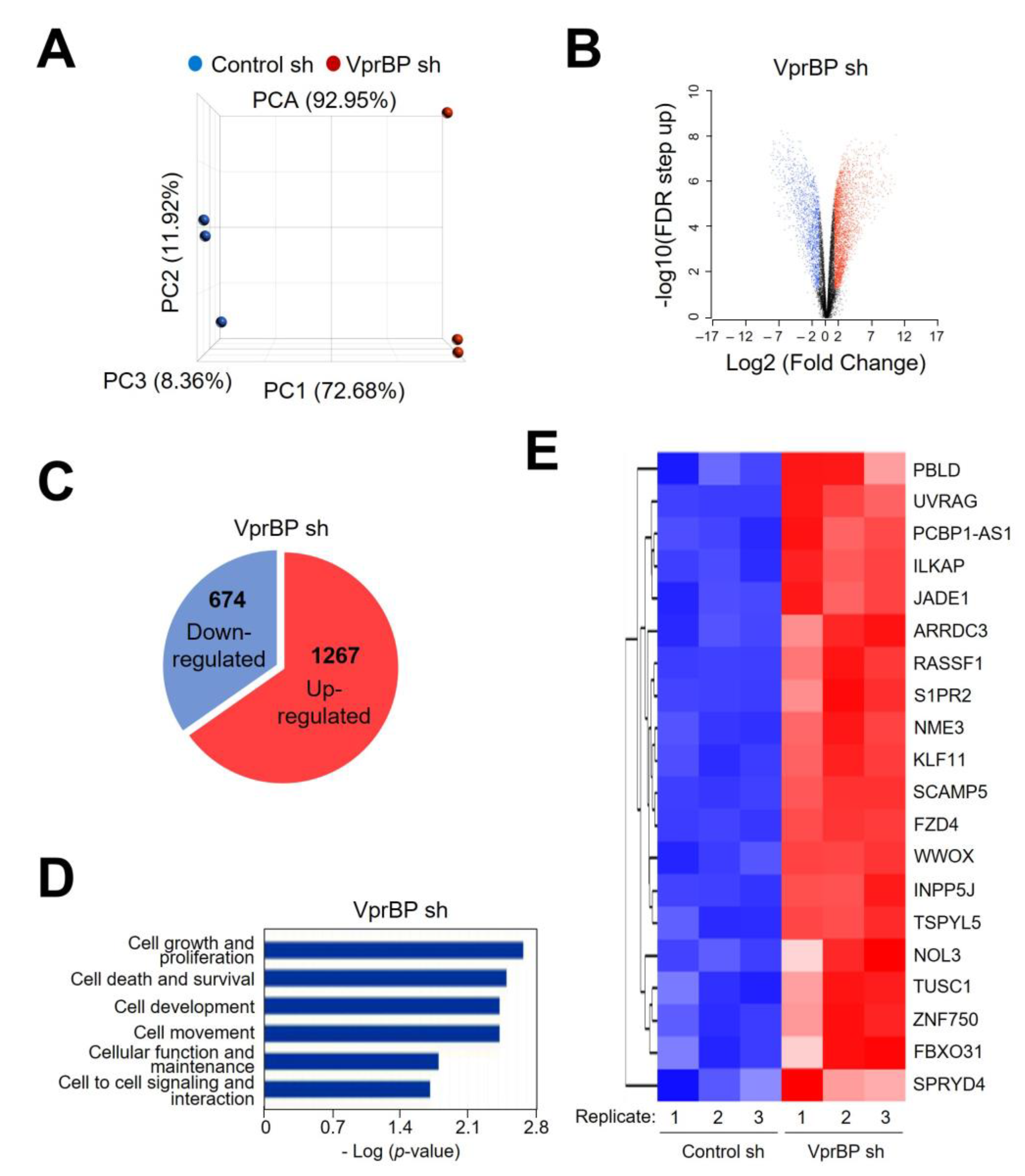 Biomedicines 11 02552 g003 Biomedicines 11 02552 g003