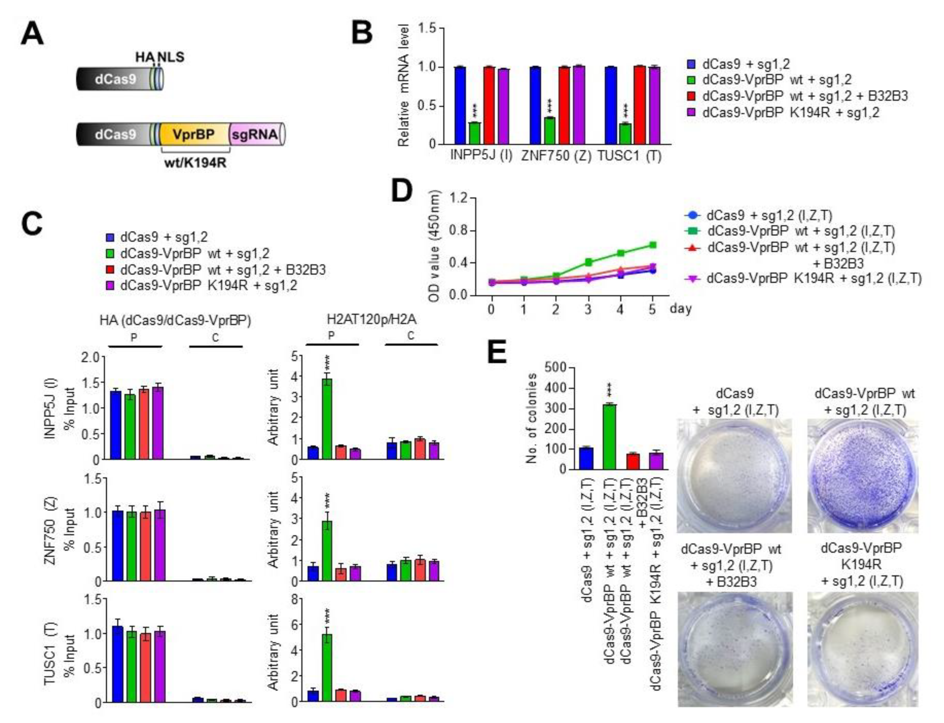 Biomedicines 11 02552 g005 Biomedicines 11 02552 g005