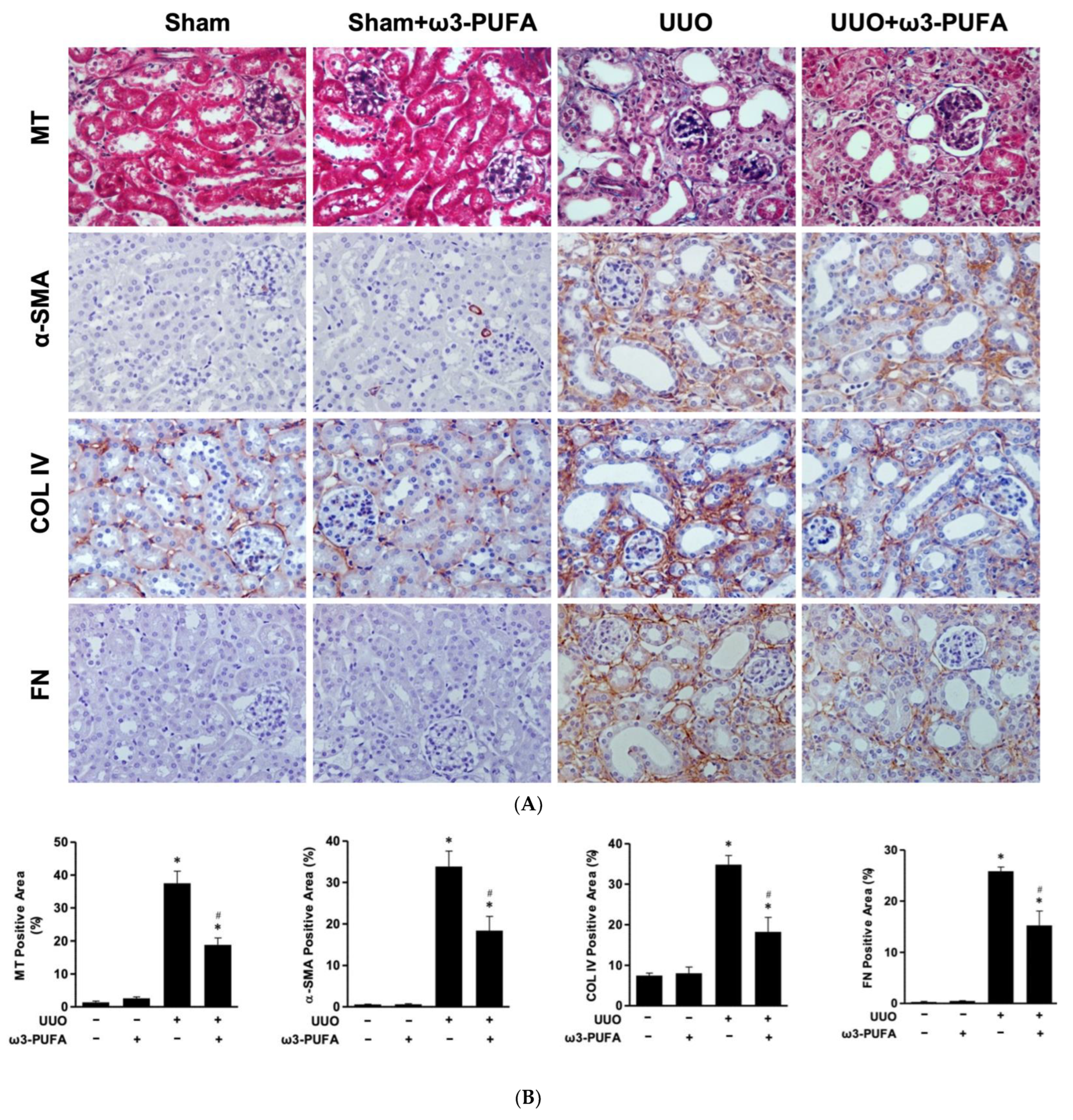 Biomedicines 11 02553 g004a