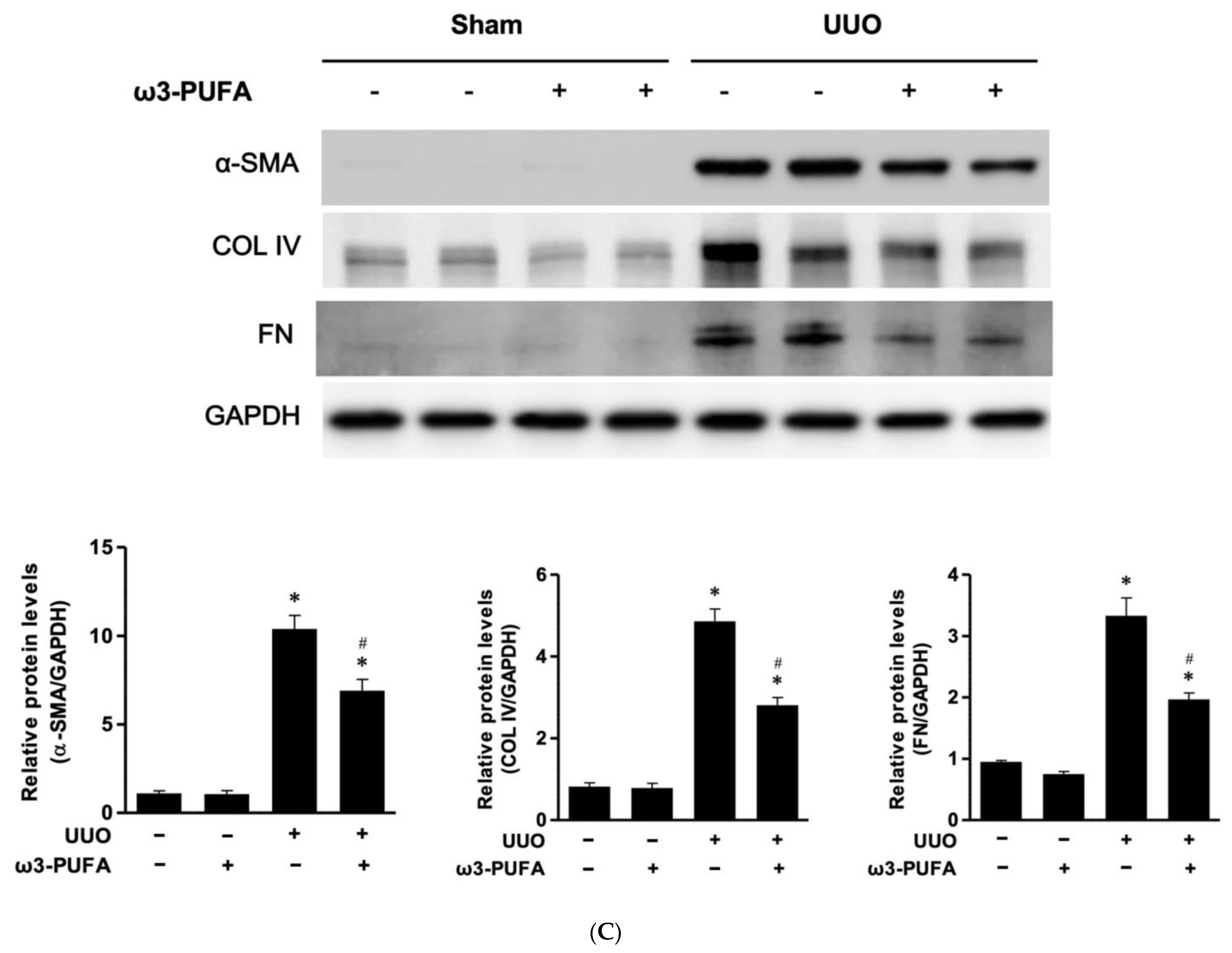 Biomedicines 11 02553 g004b