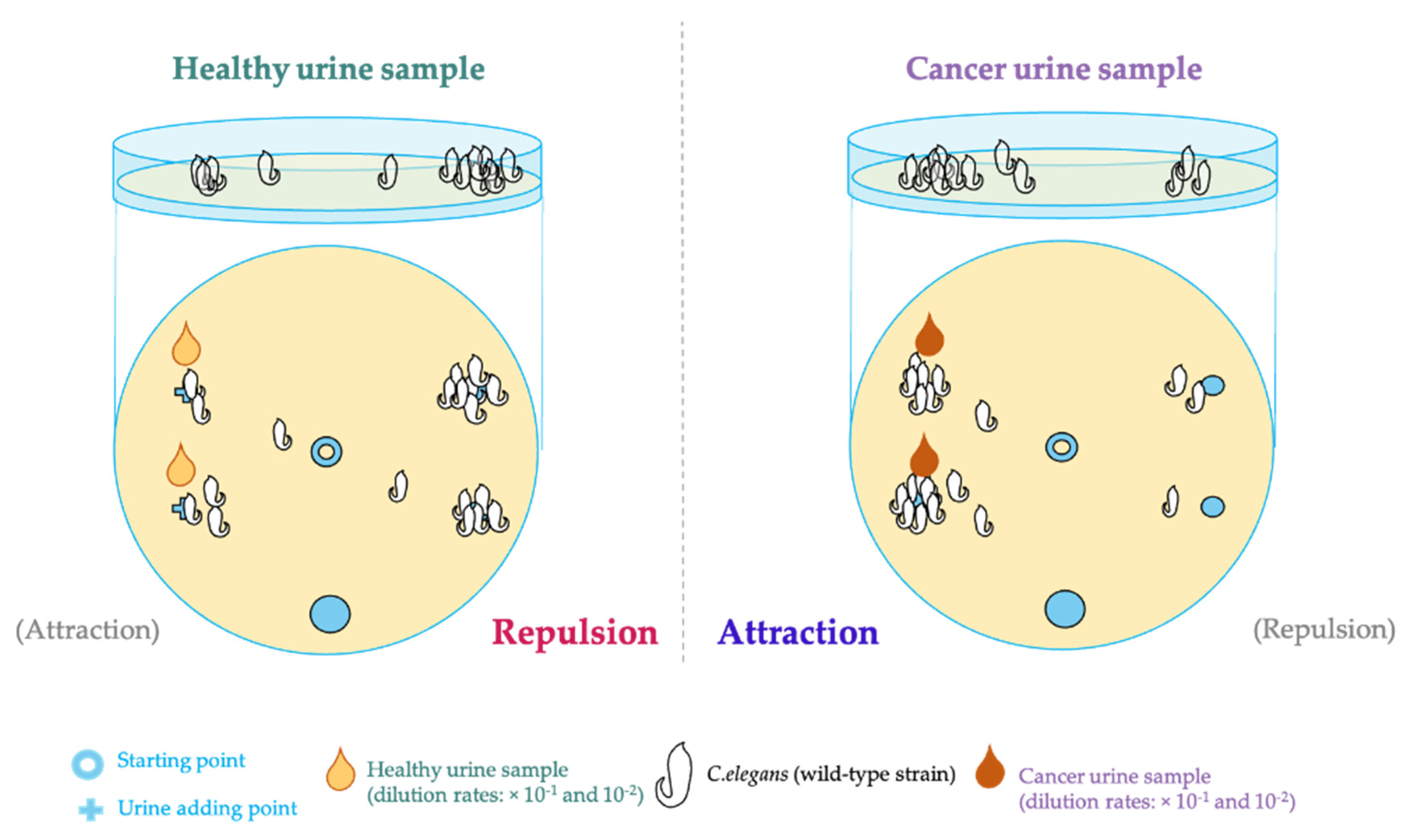 Biomedicines 11 02557 g004