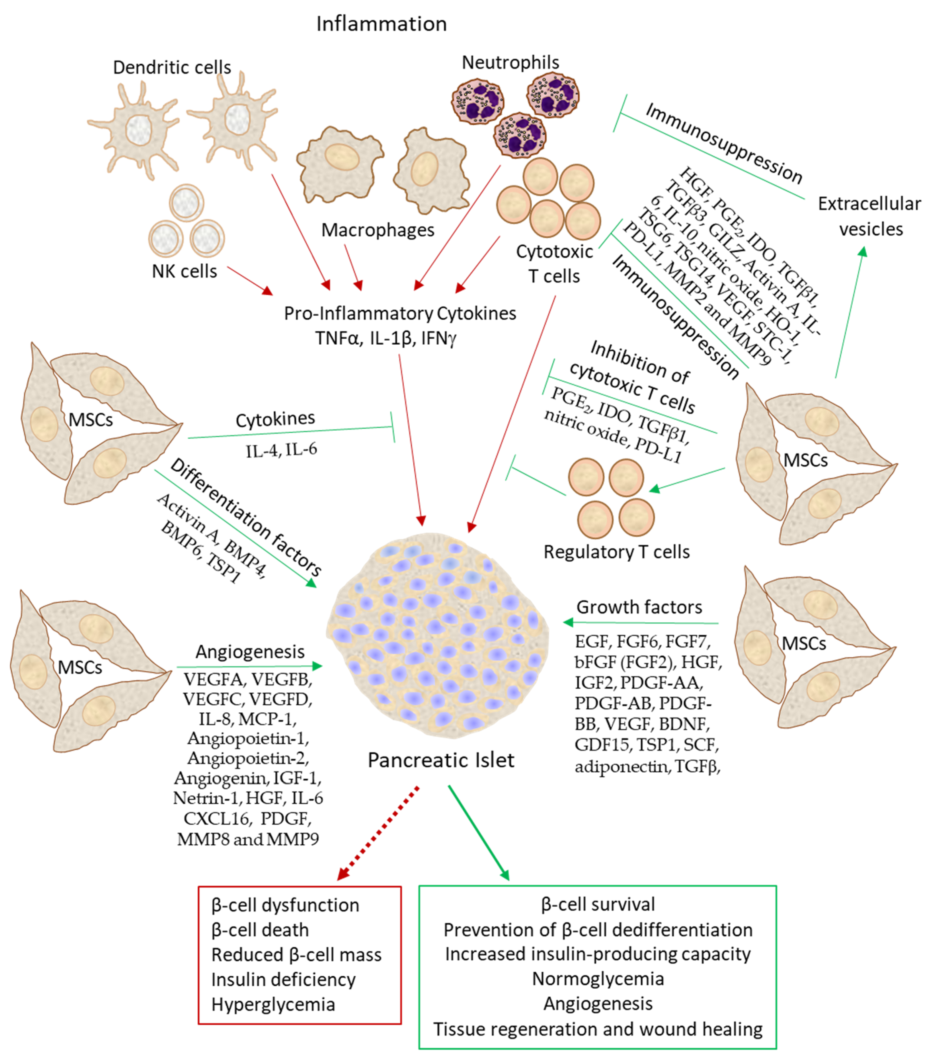 Biomedicines 11 02558 g003 Biomedicines 11 02558 g003
