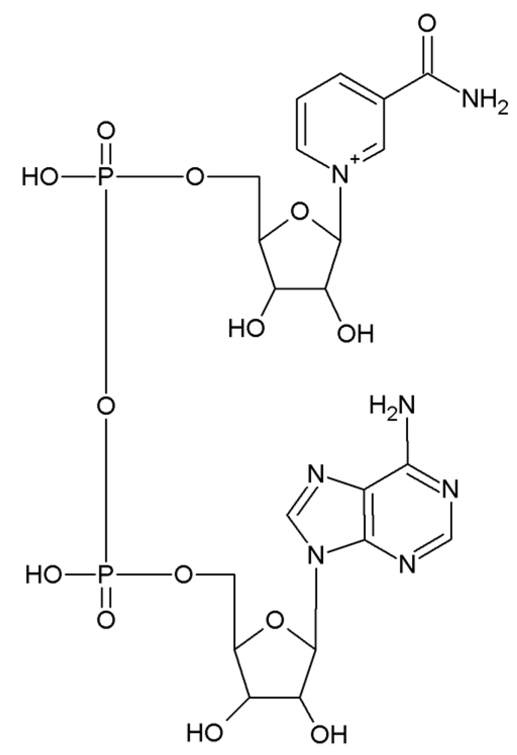 Biomedicines 11 02560 g001