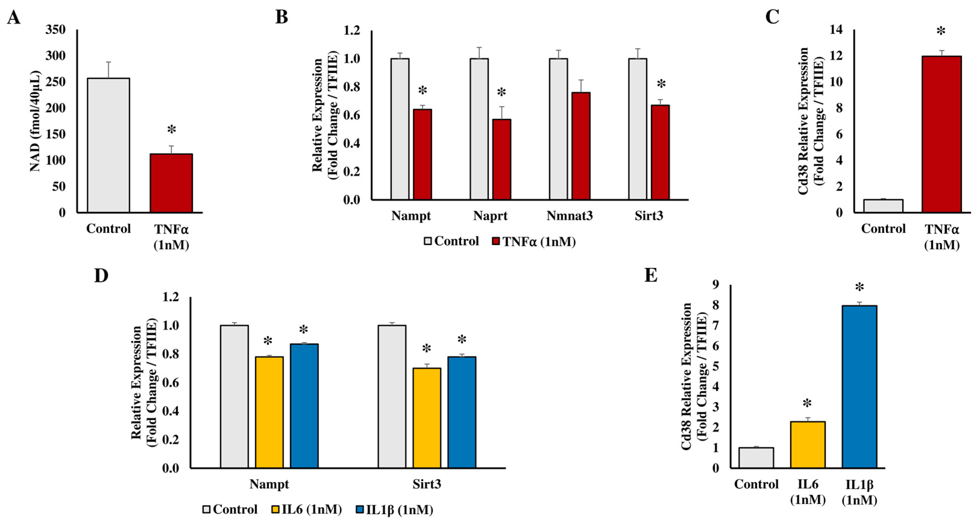 Biomedicines 11 02560 g004