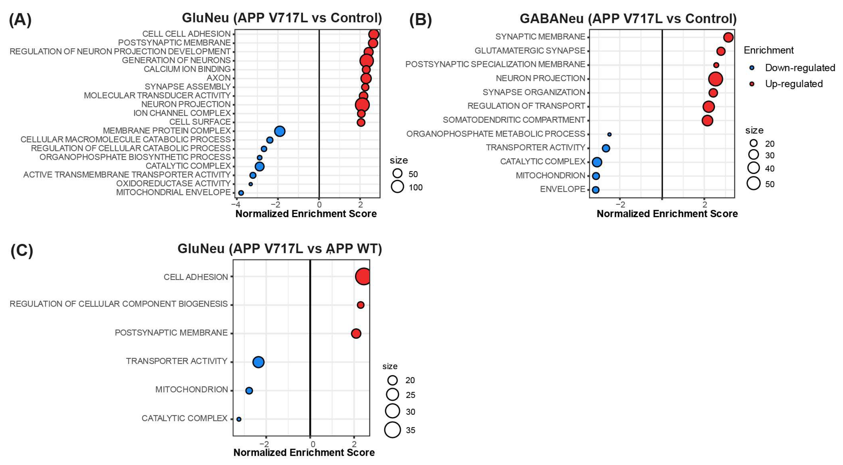 Biomedicines 11 02564 g005