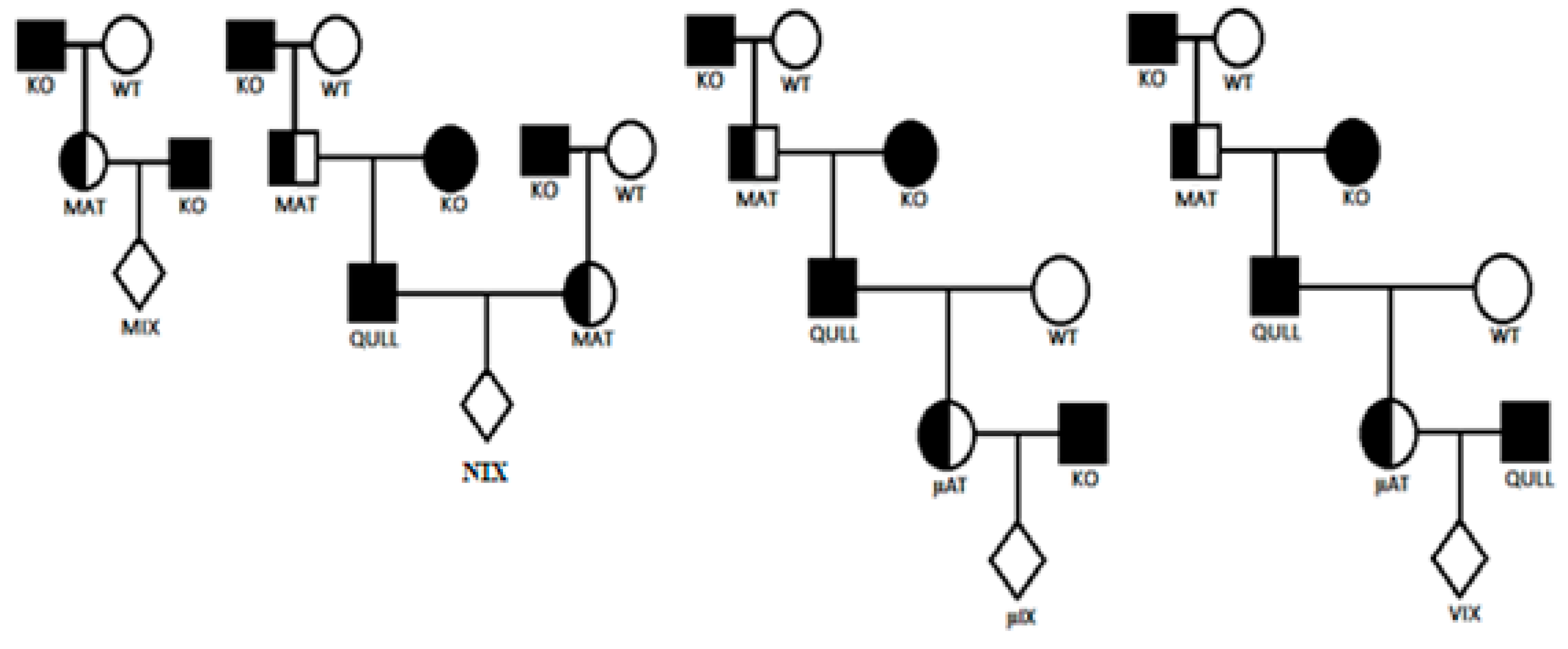 Biomedicines 11 02565 sch001