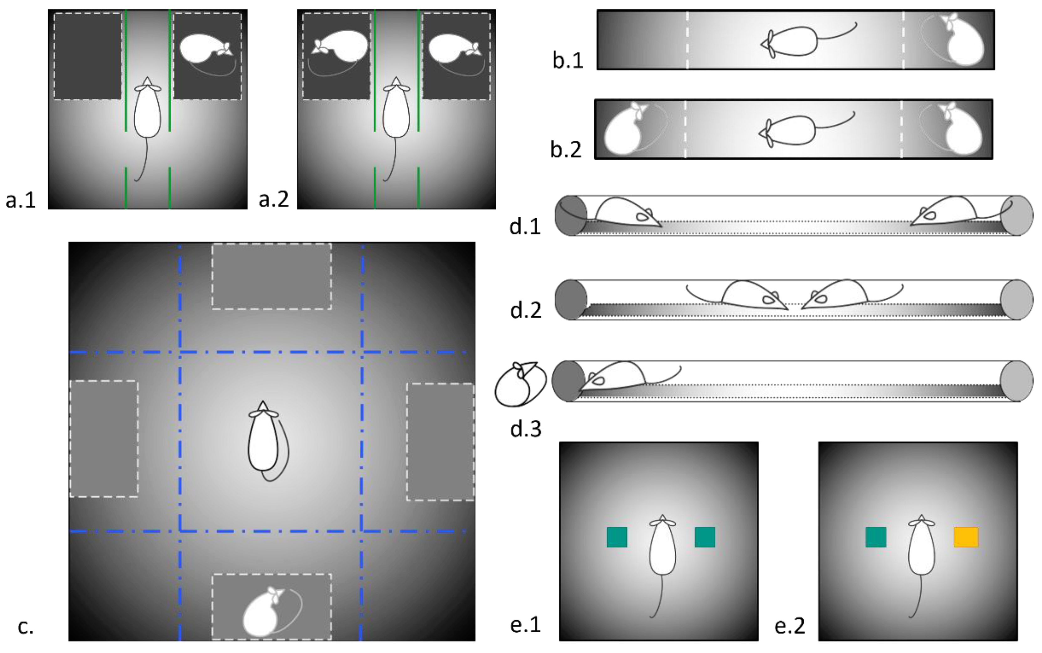 Biomedicines 11 02566 g001