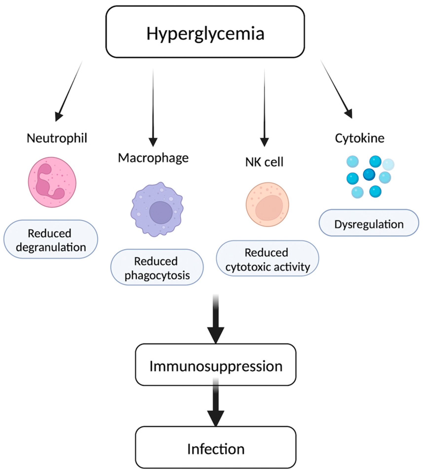 Biomedicines 11 02568 g001
