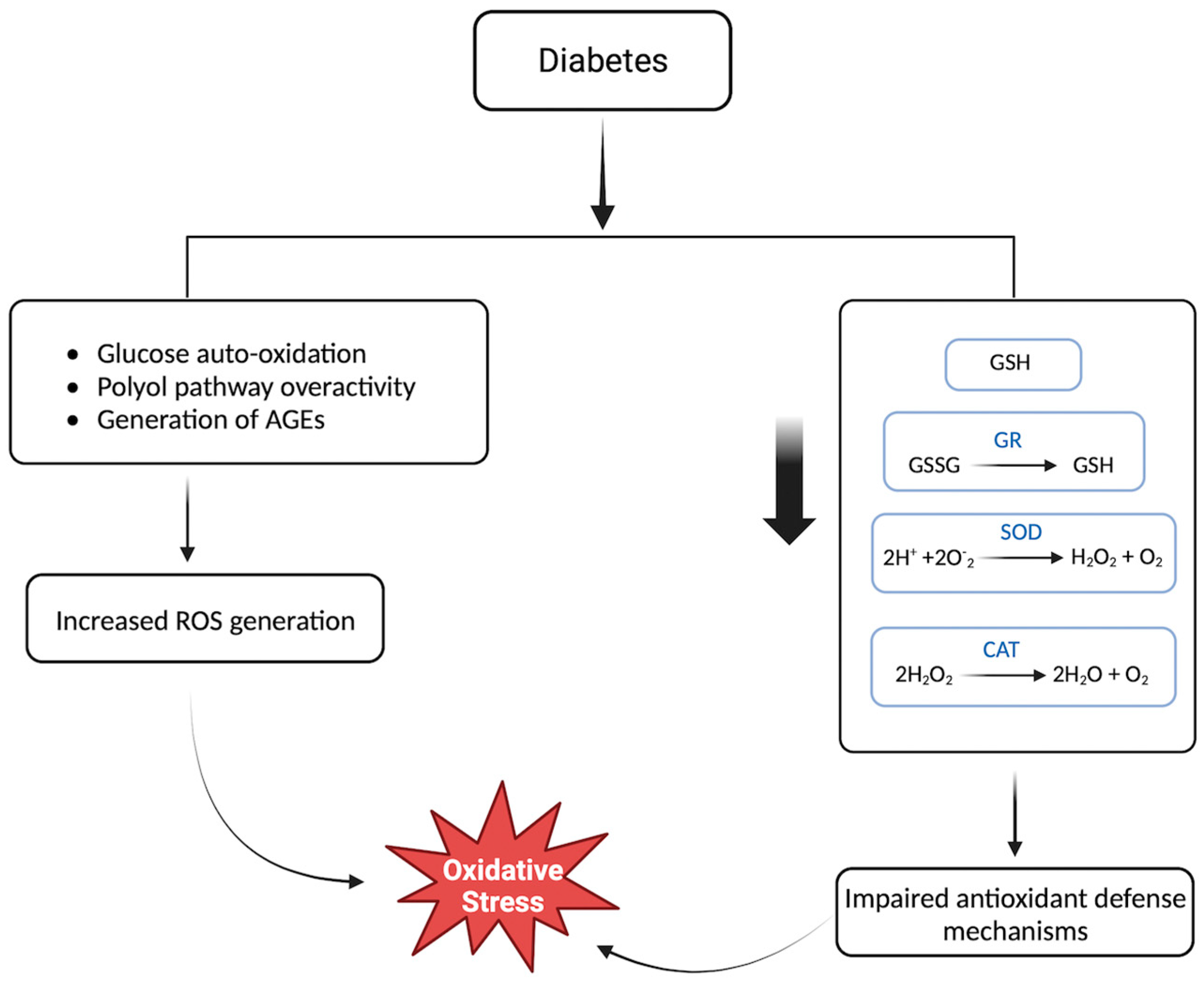 Biomedicines 11 02568 g002