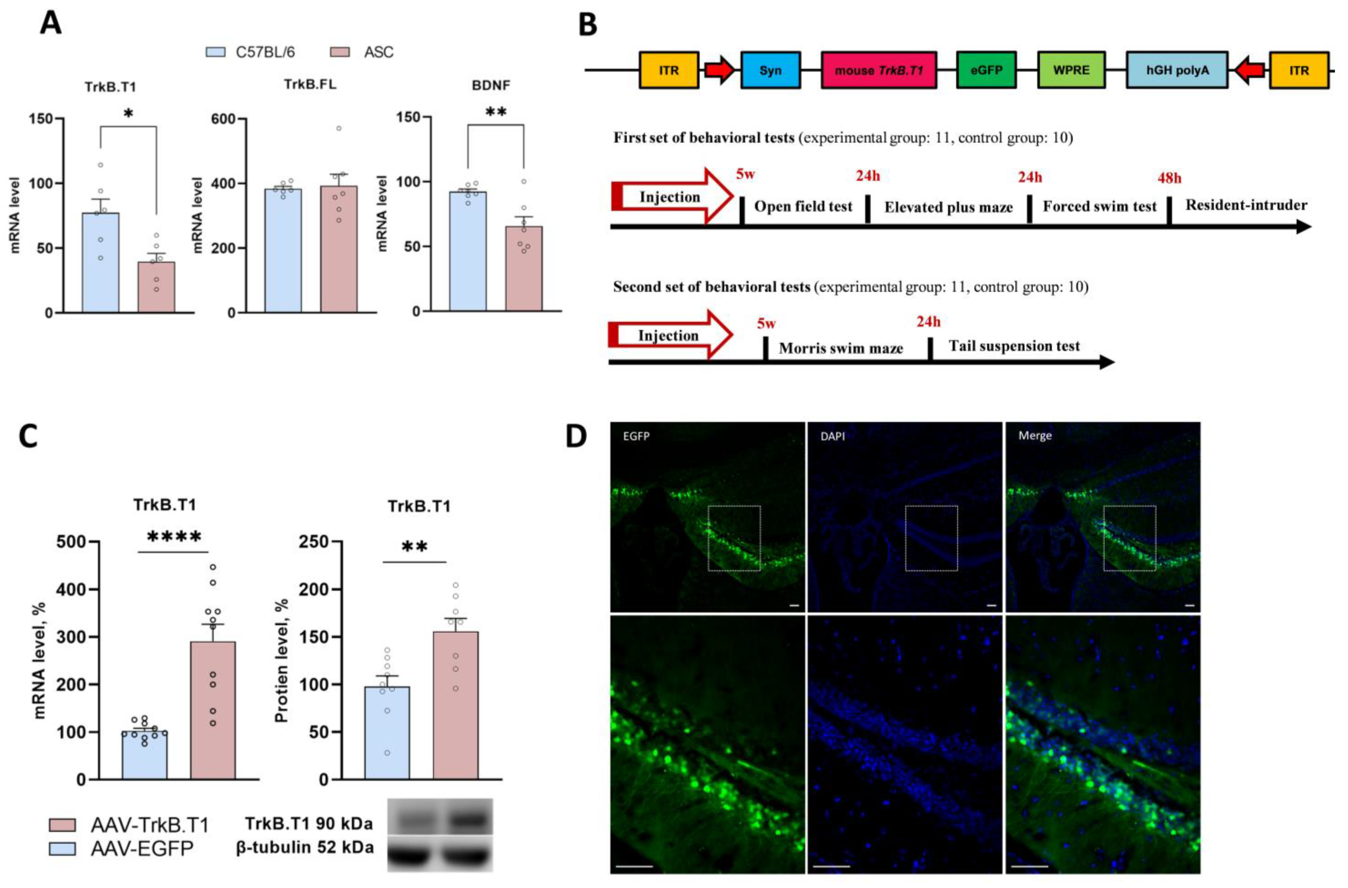 Biomedicines 11 02573 g001