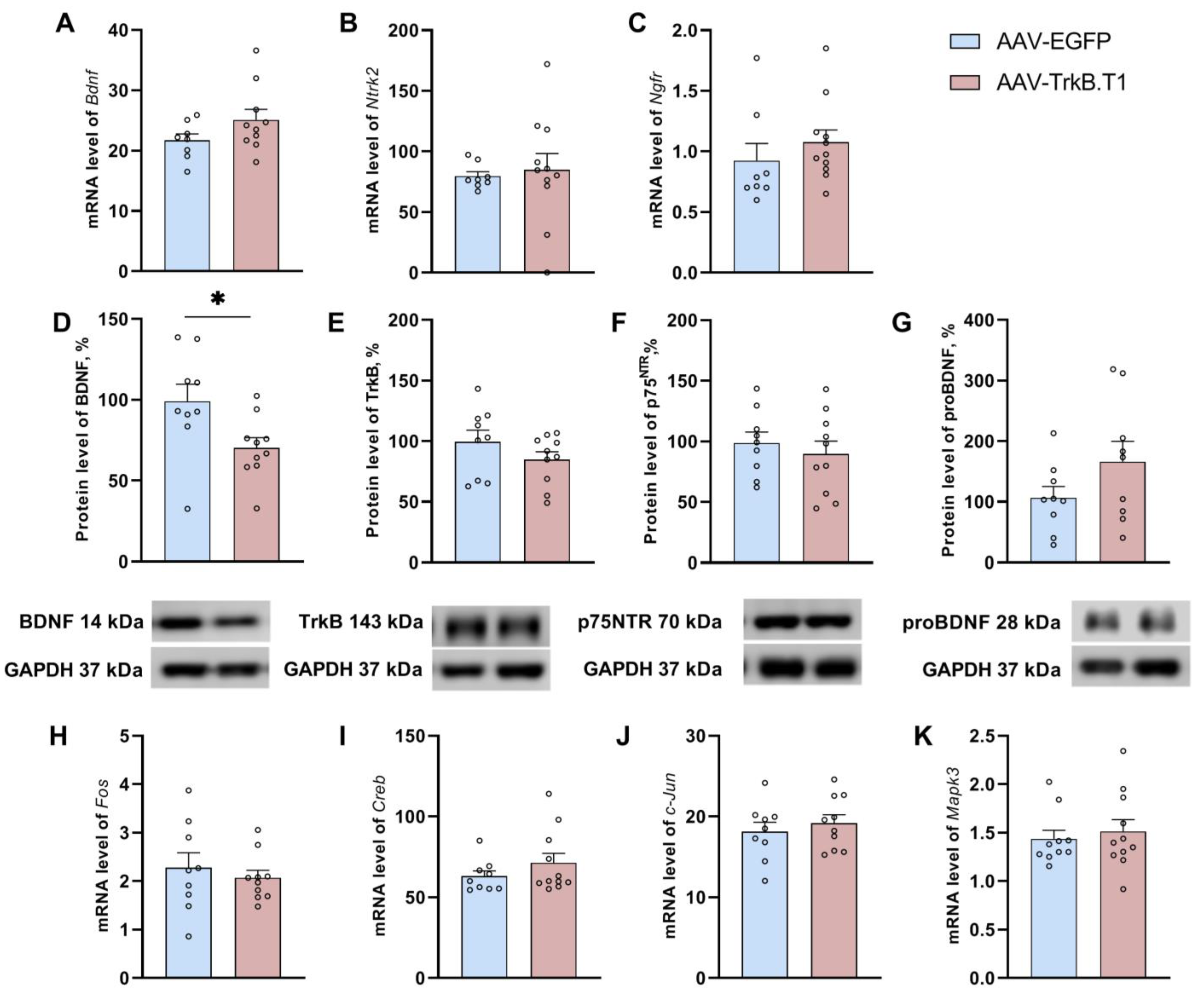 Biomedicines 11 02573 g004