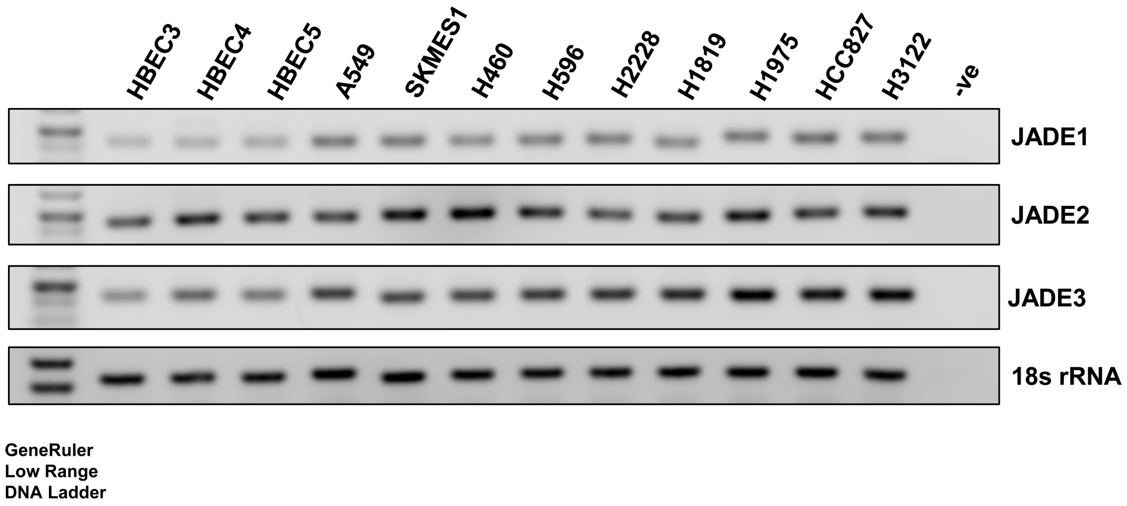 Biomedicines 11 02576 g001 Biomedicines 11 02576 g001
