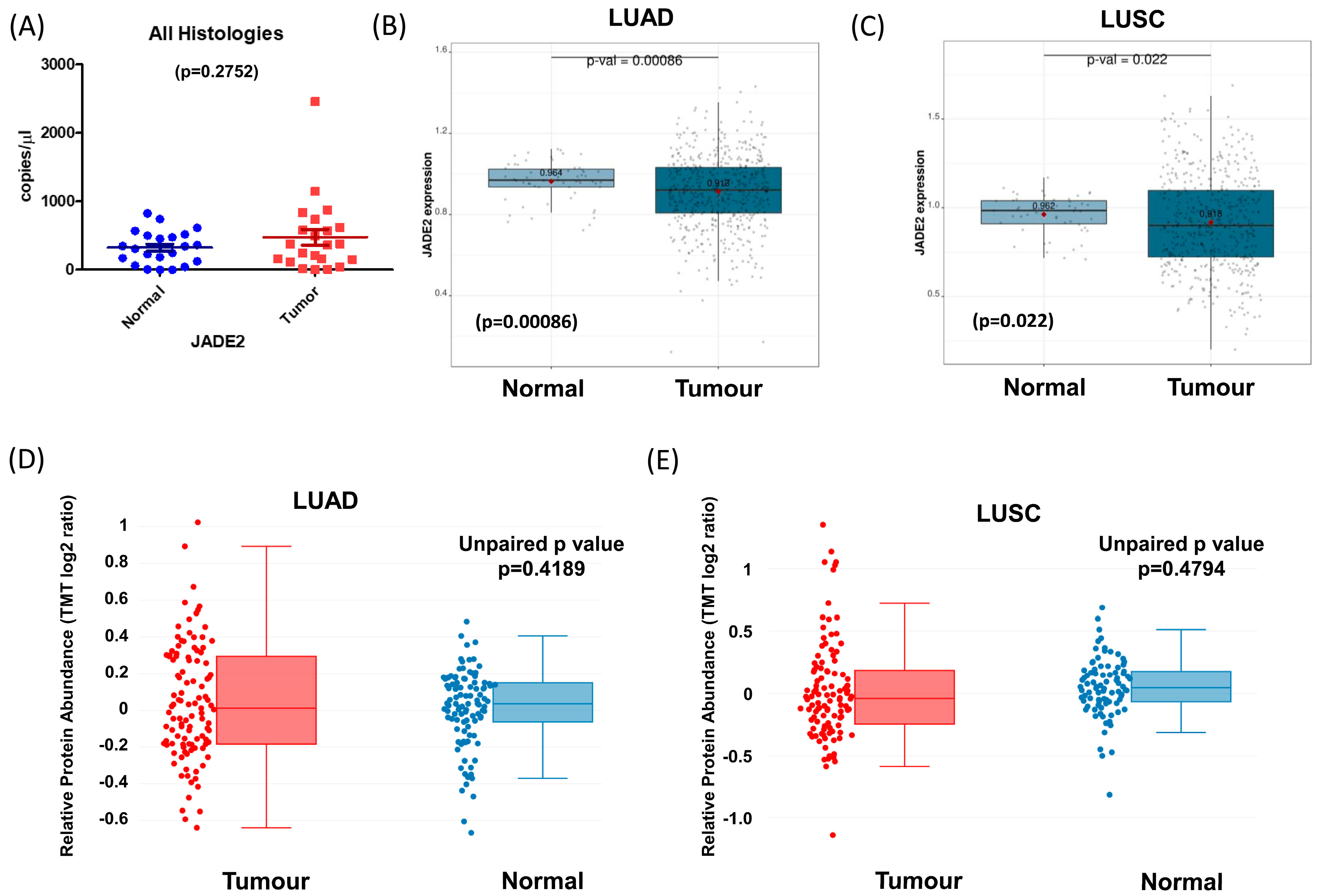 Biomedicines 11 02576 g002 Biomedicines 11 02576 g002