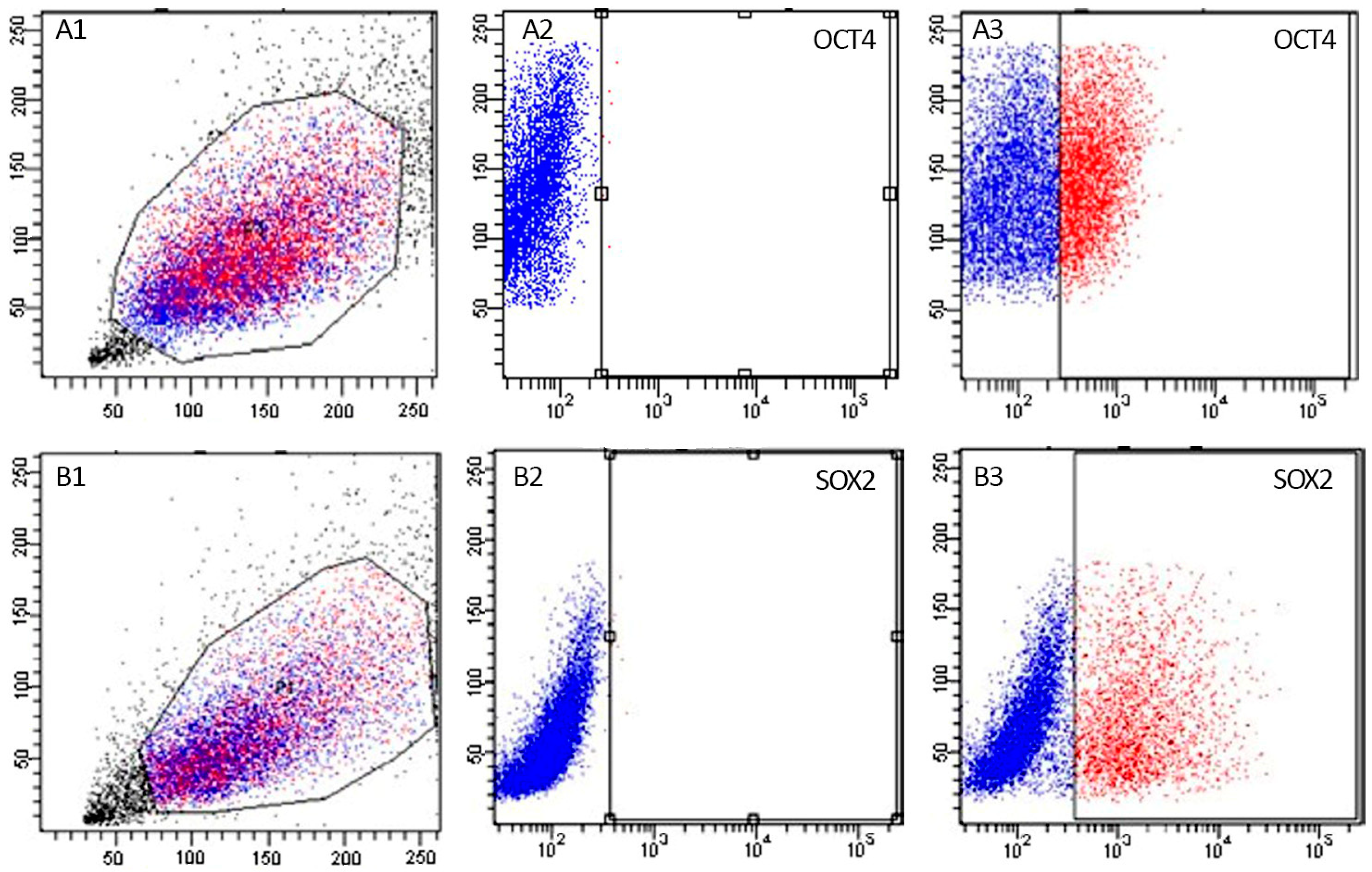 Biomedicines 11 02577 g002