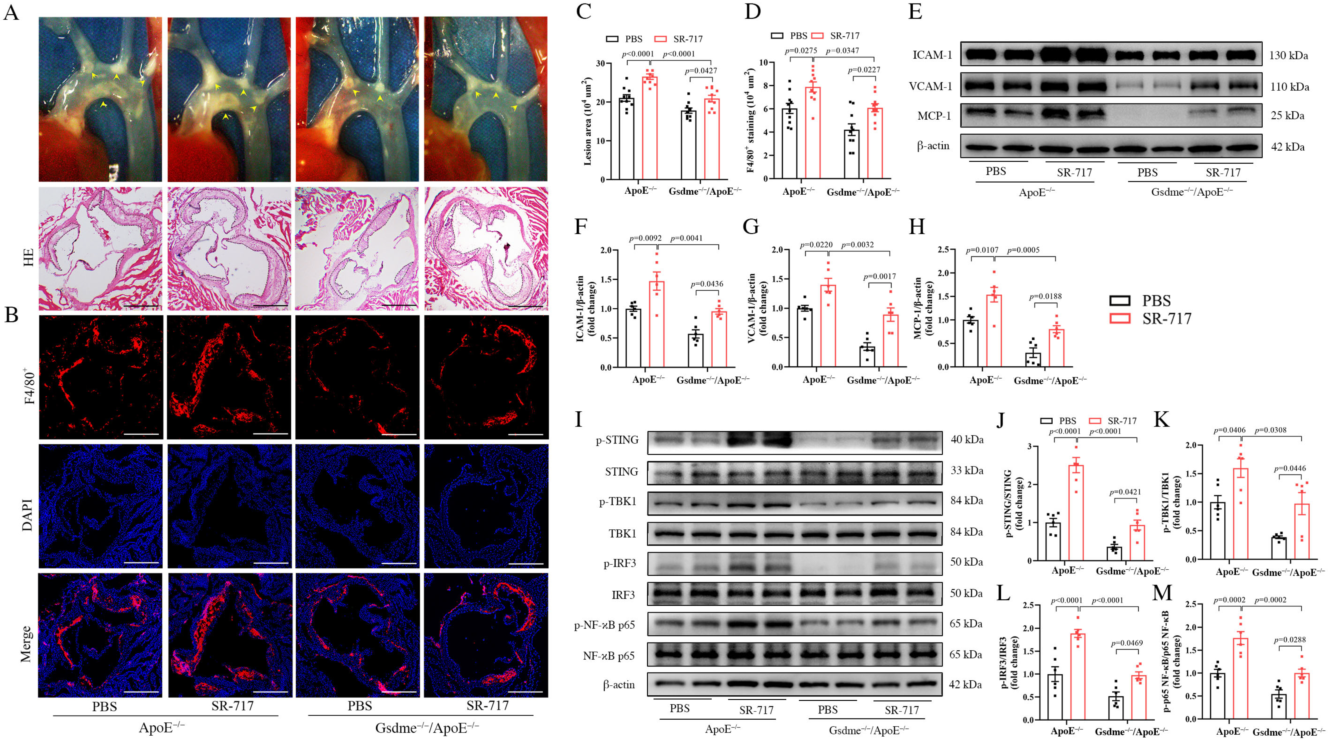 Biomedicines 11 02579 g004