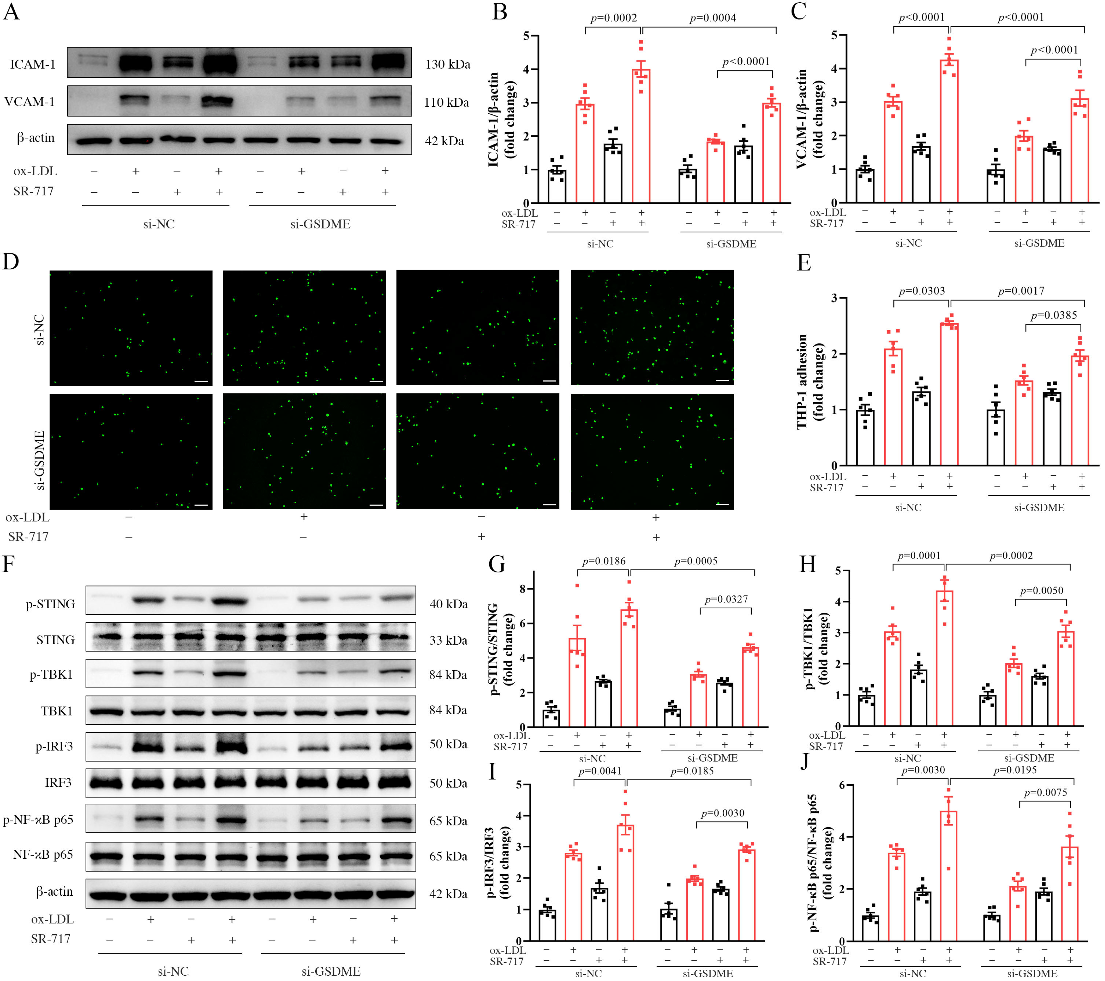 Biomedicines 11 02579 g005