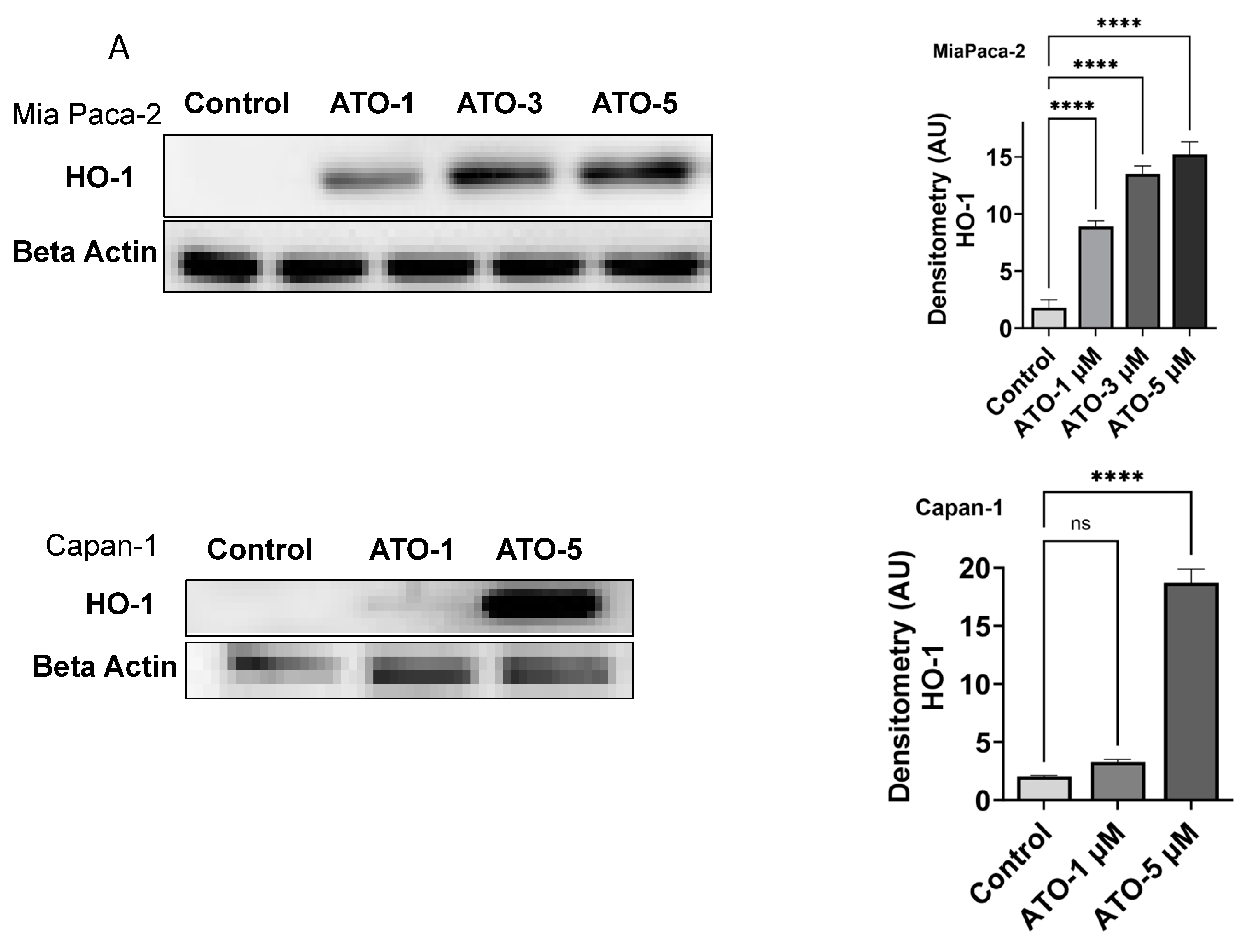 Biomedicines 11 02580 g001a