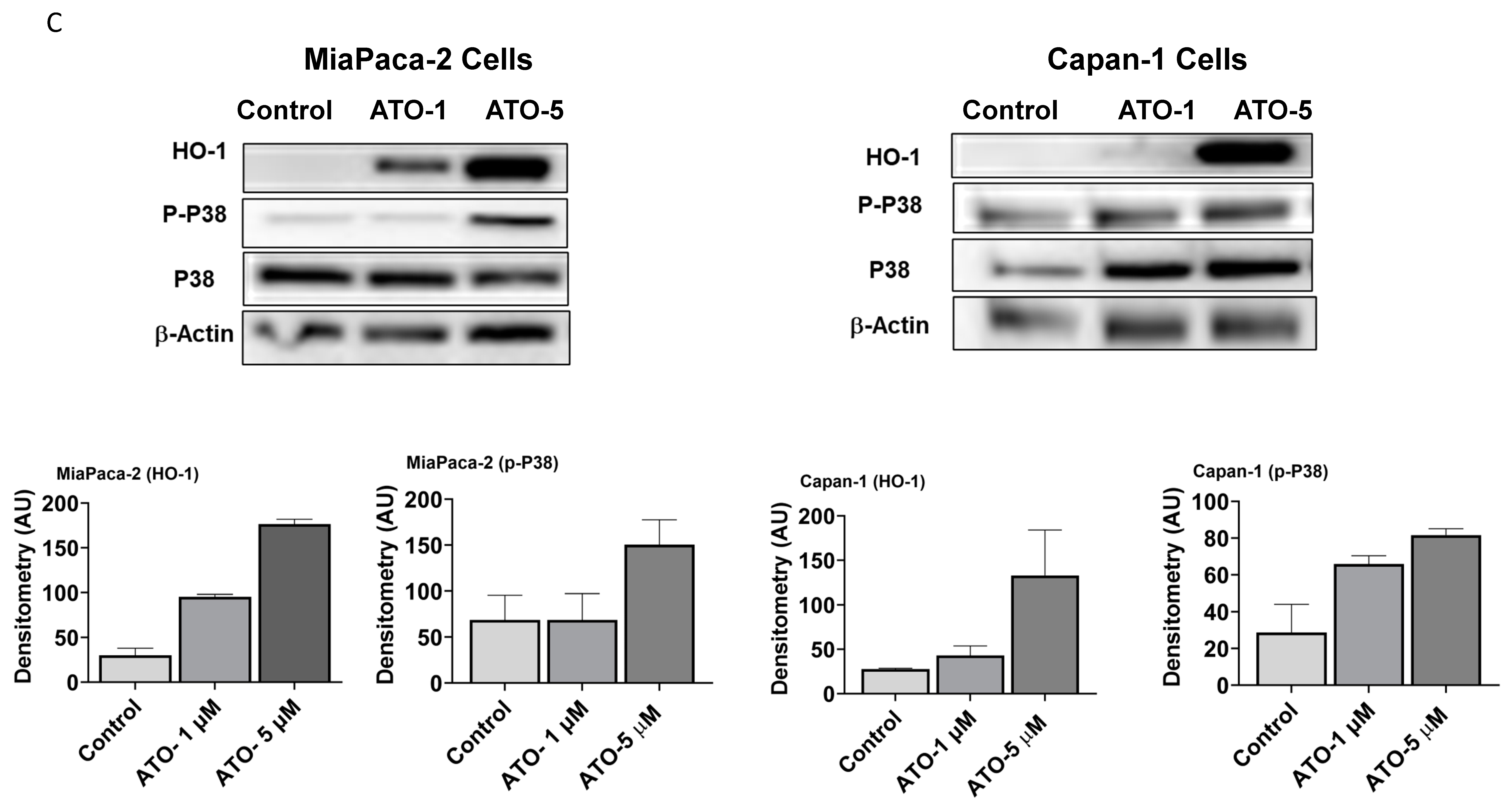 Biomedicines 11 02580 g001c
